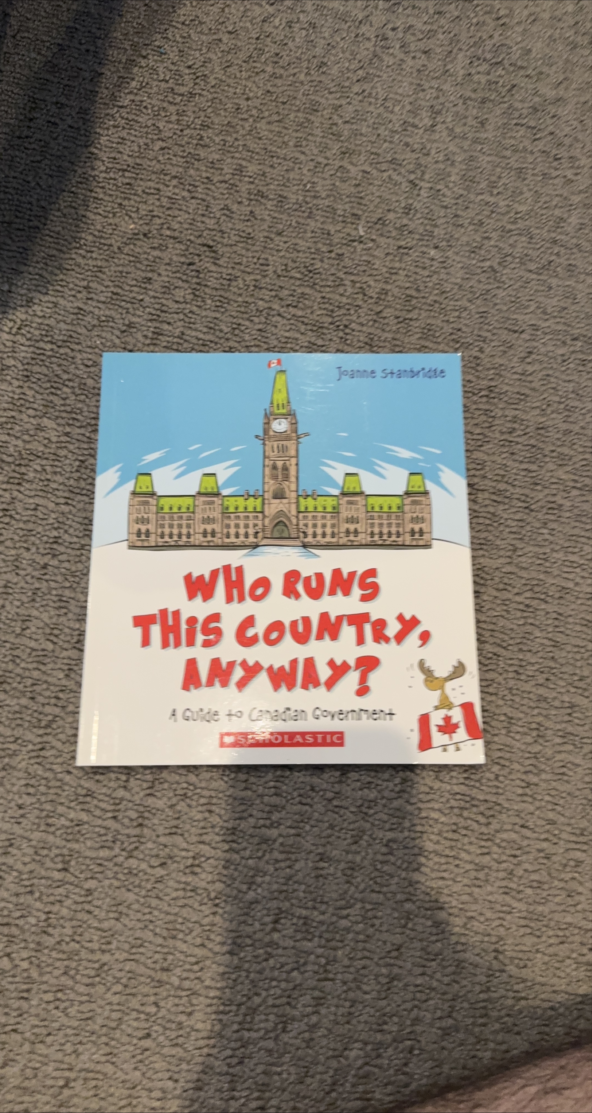 Who Runs This Country, Anyway? by Joanne Stanbridge thumbnail
