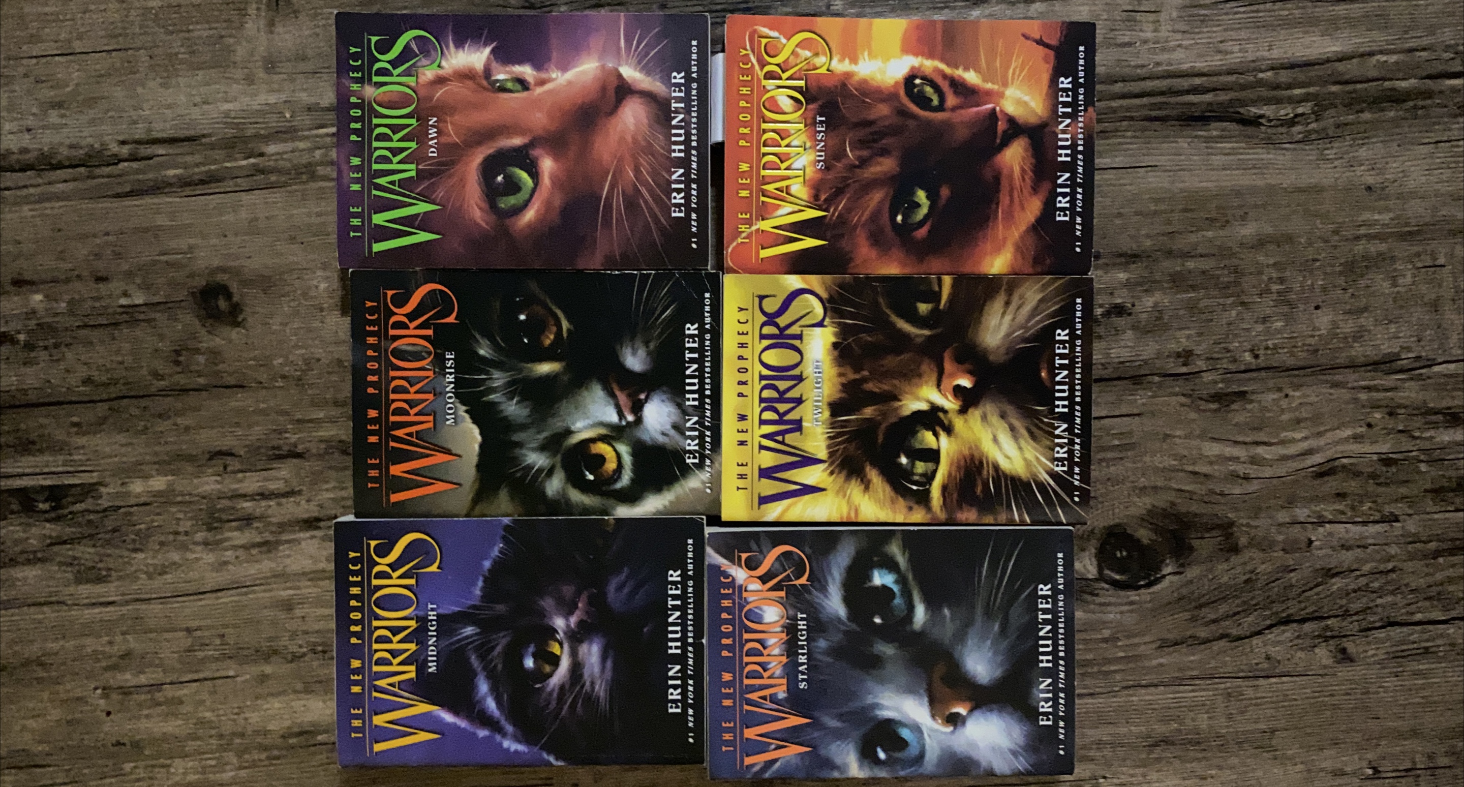 Warriors: The New Prophecy series by Erin Hunter thumbnail