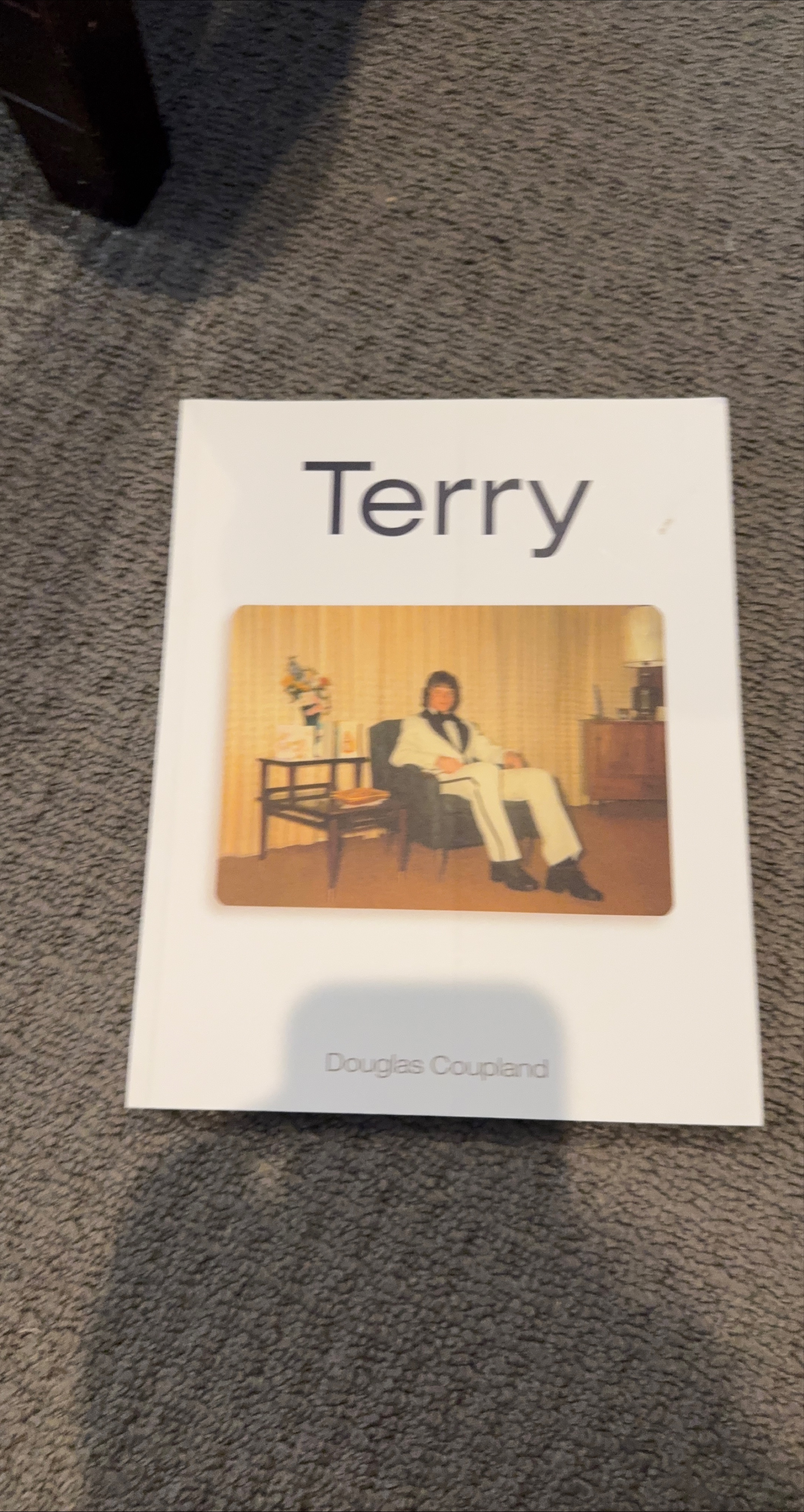 Terry by Douglas Coupland thumbnail