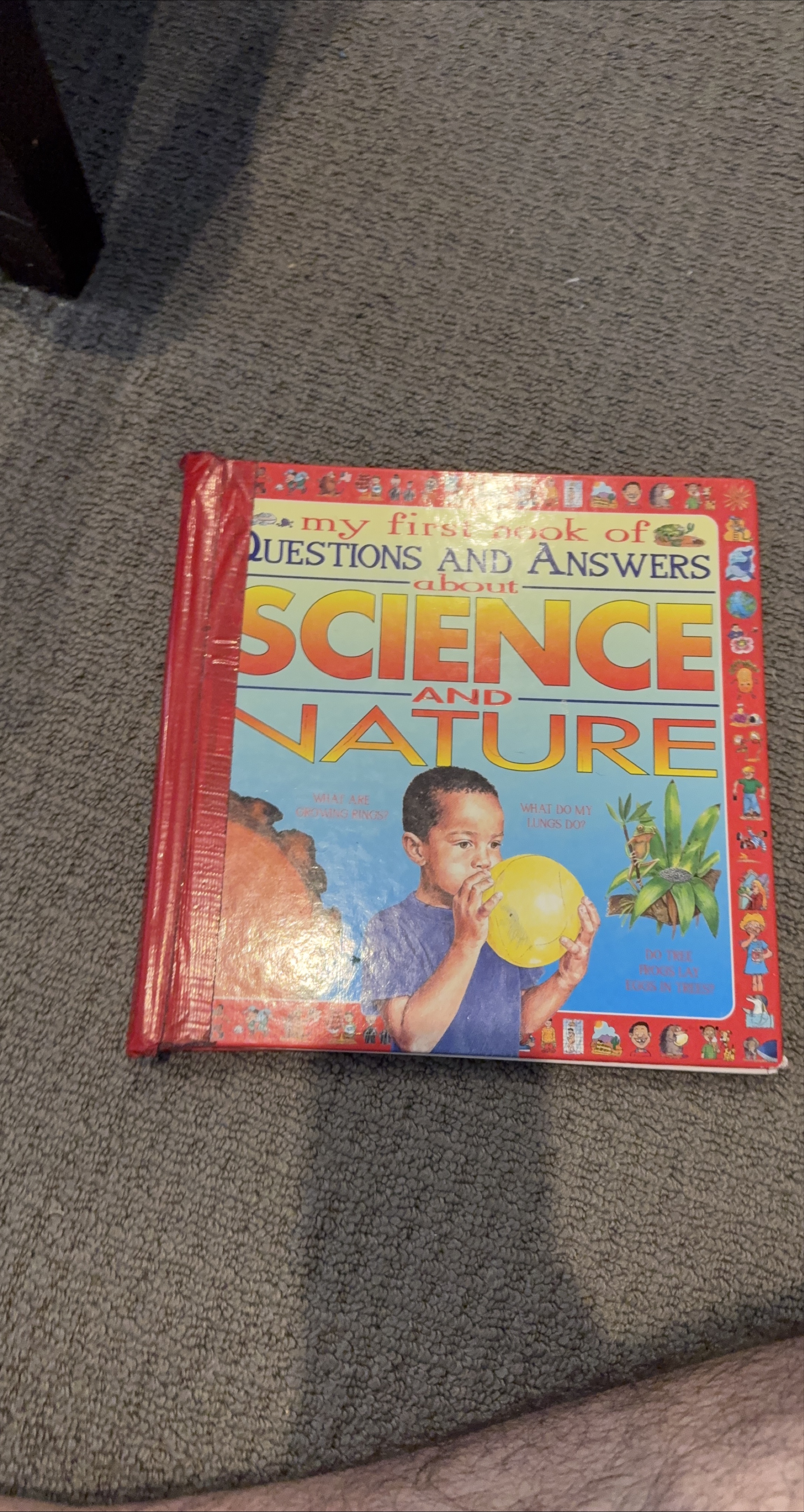 My First Book of Questions and Answers: Science and Nature thumbnail