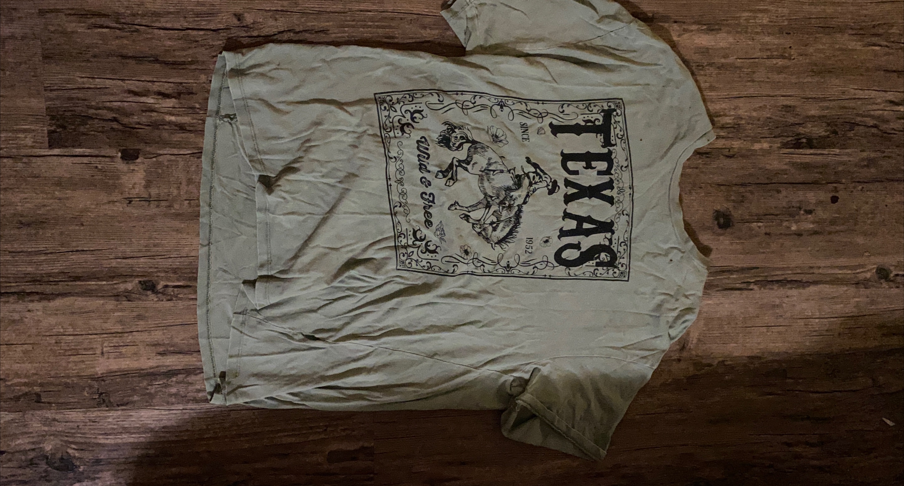 Texas Wild & Free Graphic T-Shirt thumbnail