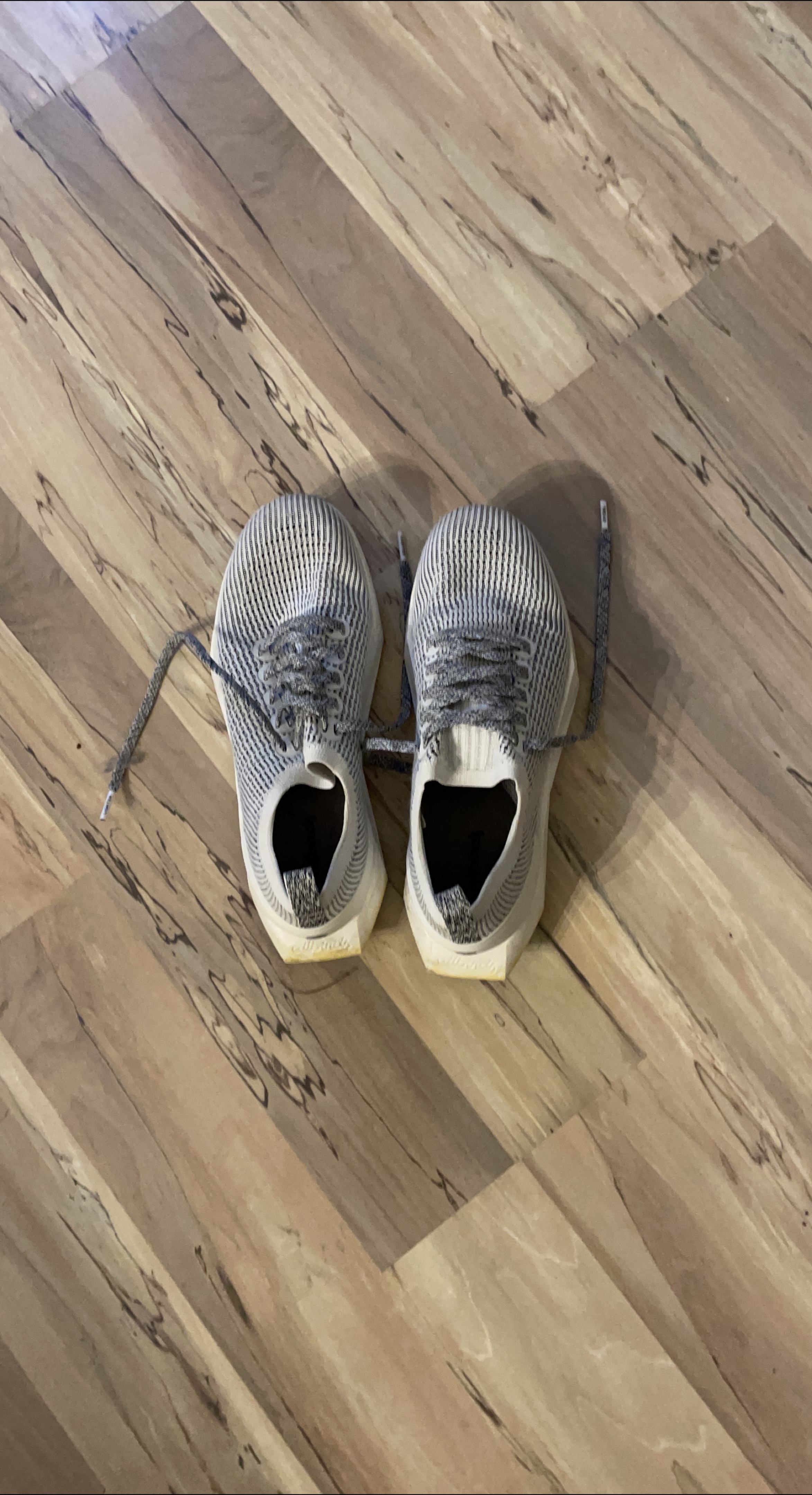 Allbirds Tree Dasher Running Shoe Size 8 image indicator(1)