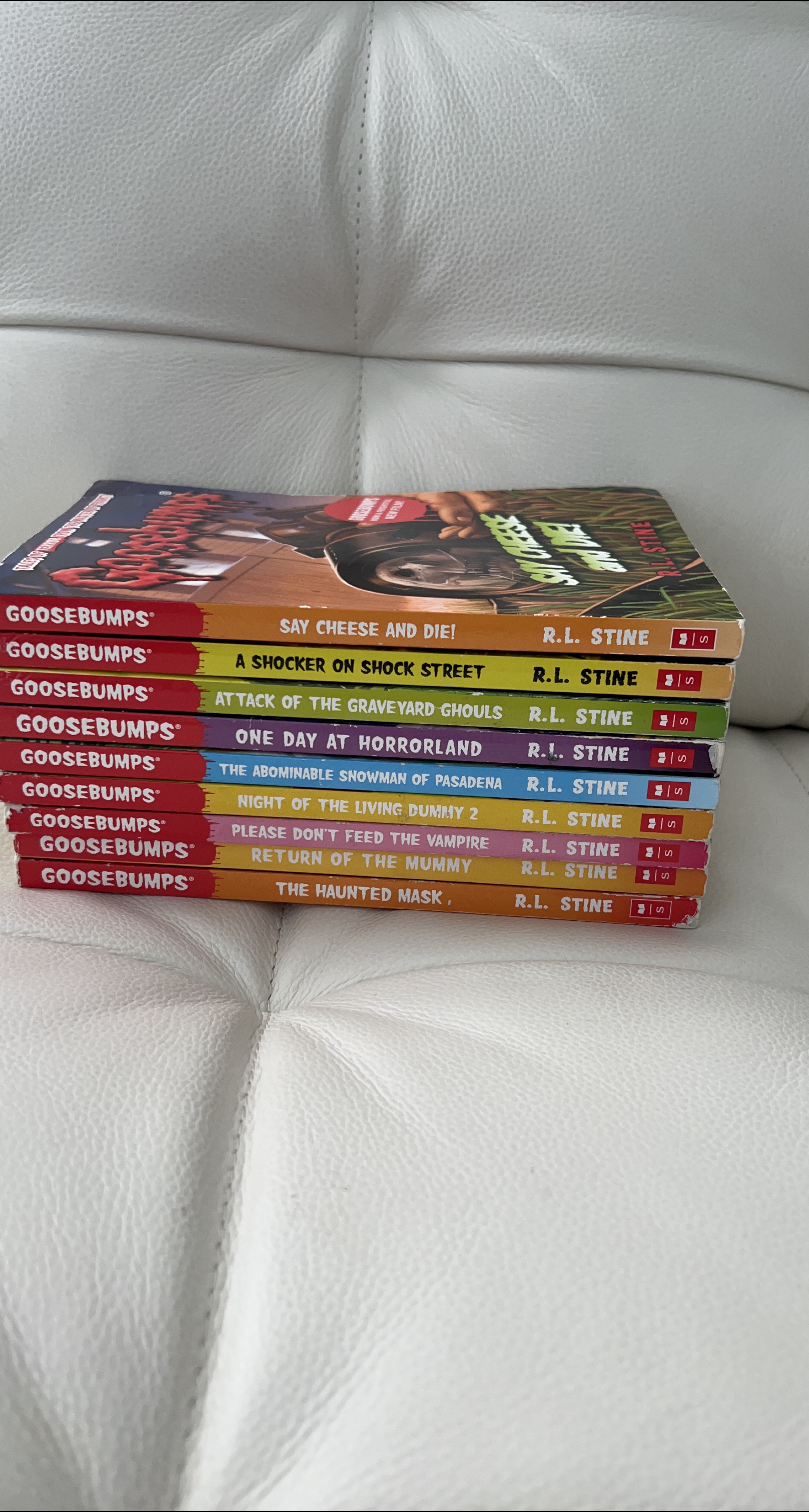 Goosebumps Book Collection by R.L. Stine image indicator(1)