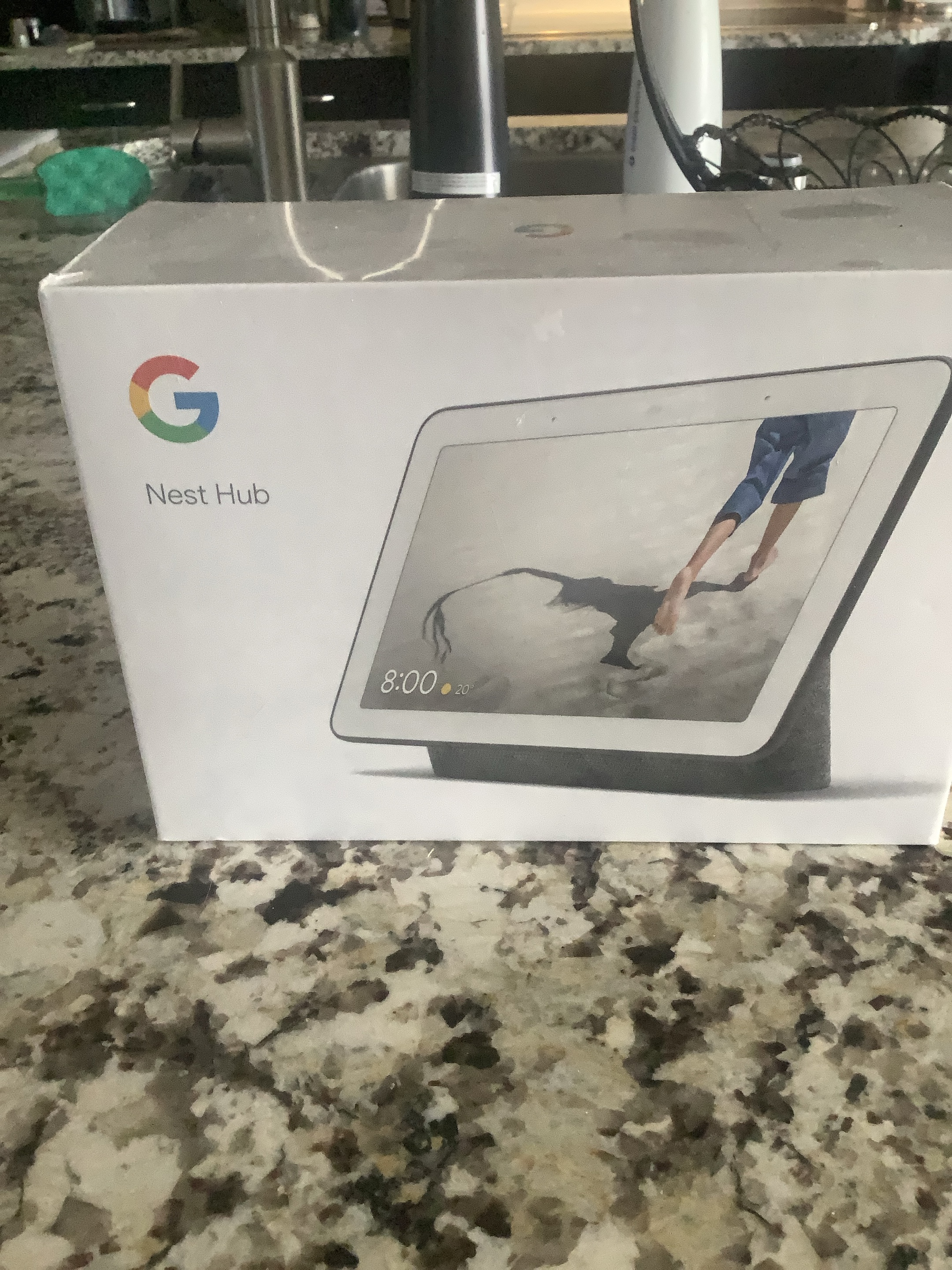 Google Nest Hub