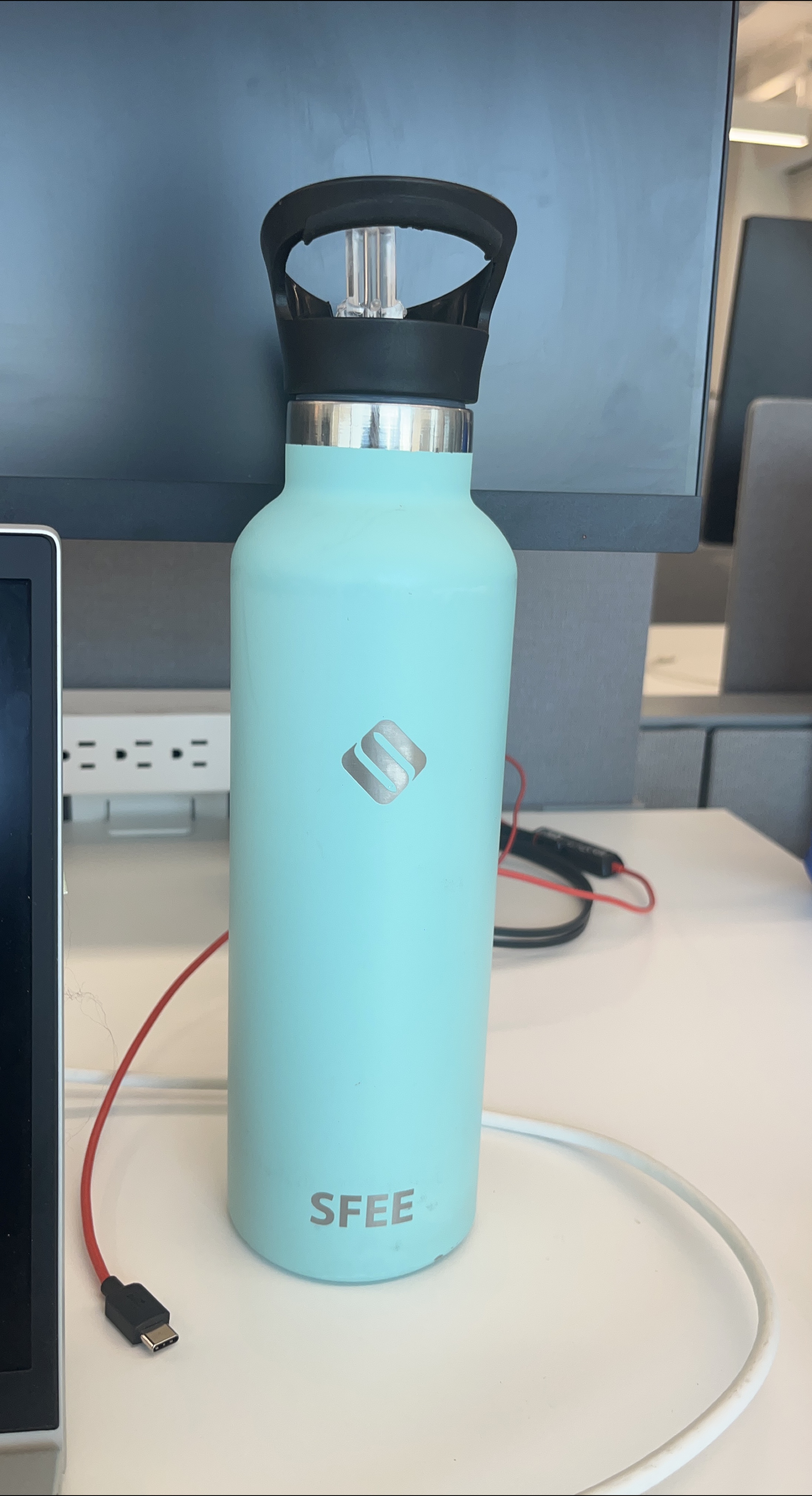 SFEE Water Bottle - Mint Green 🥕 thumbnail