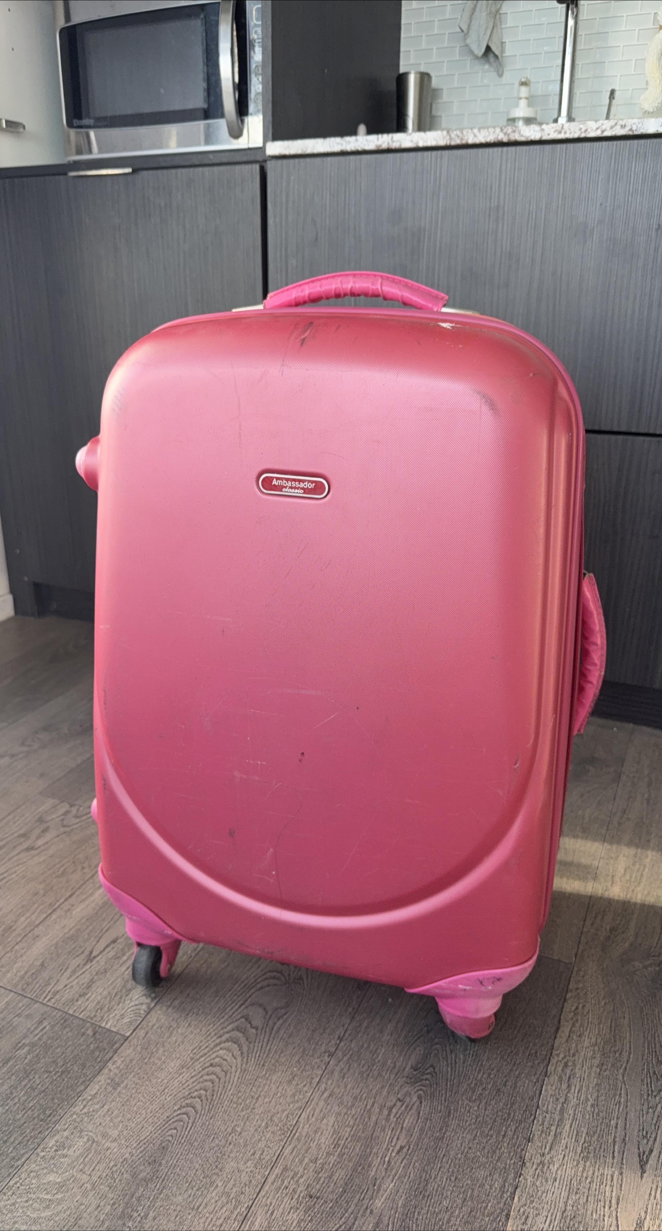 Ambassador Pink Medium Suitcase thumbnail