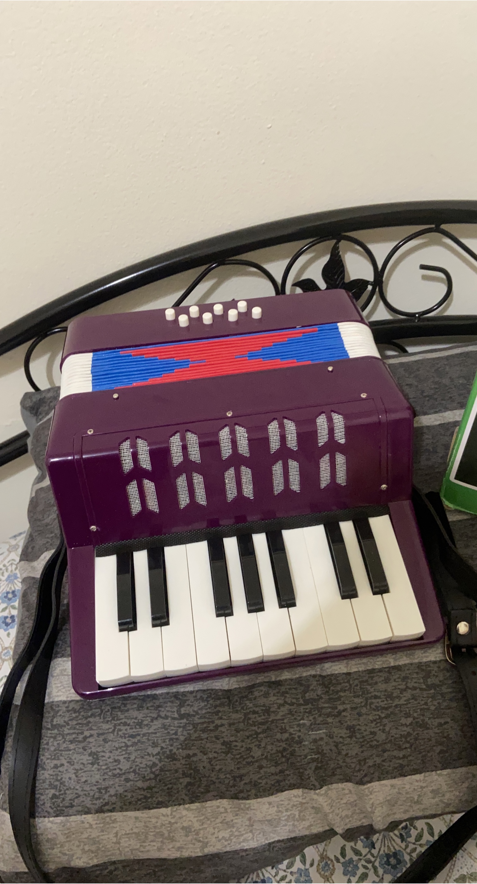 Purple Toy Accordion thumbnail