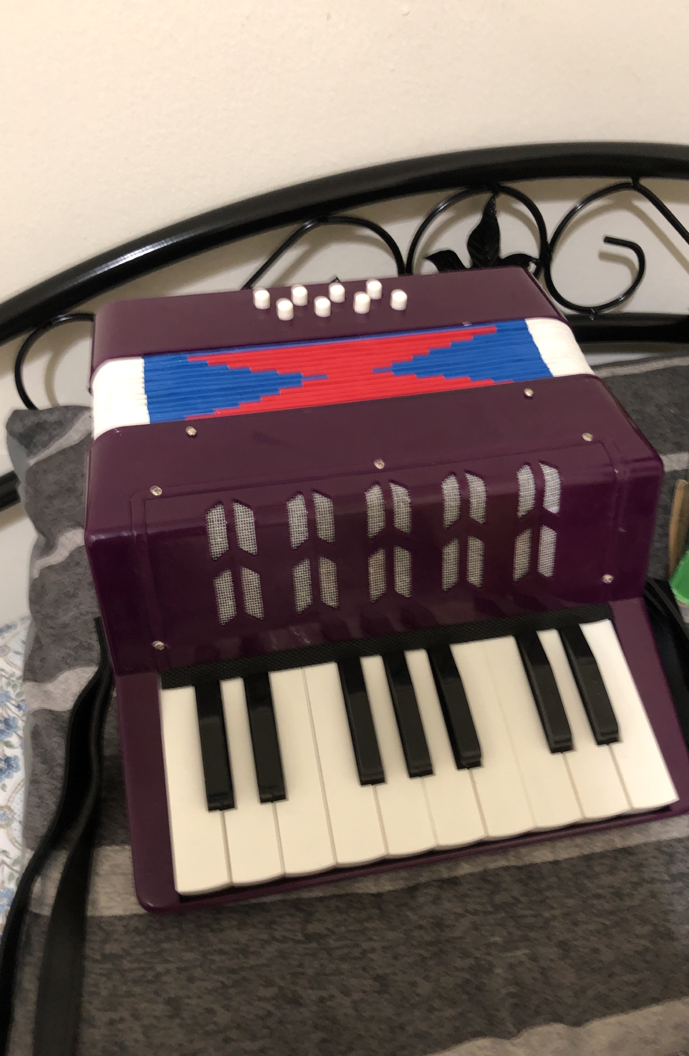 Hohner Children's Accordion - Purple thumbnail