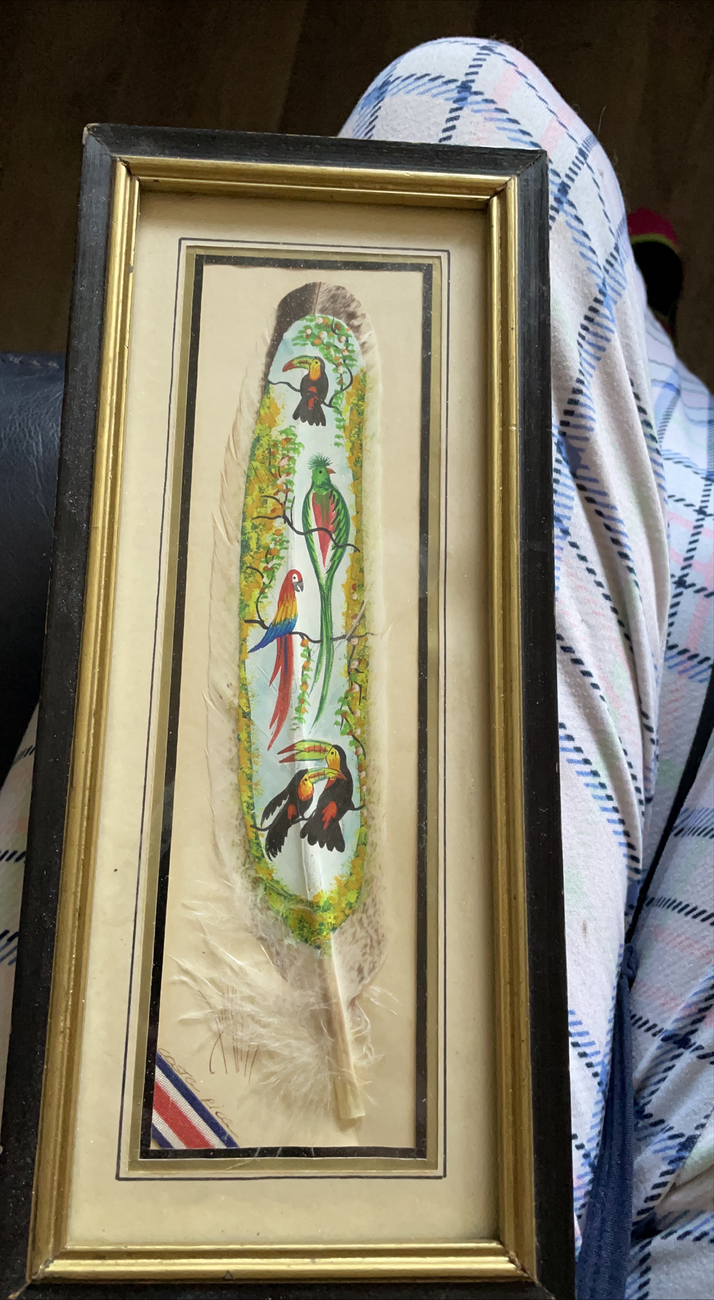 Framed Bird Feather Painting - Hand Made Costa Rica thumbnail