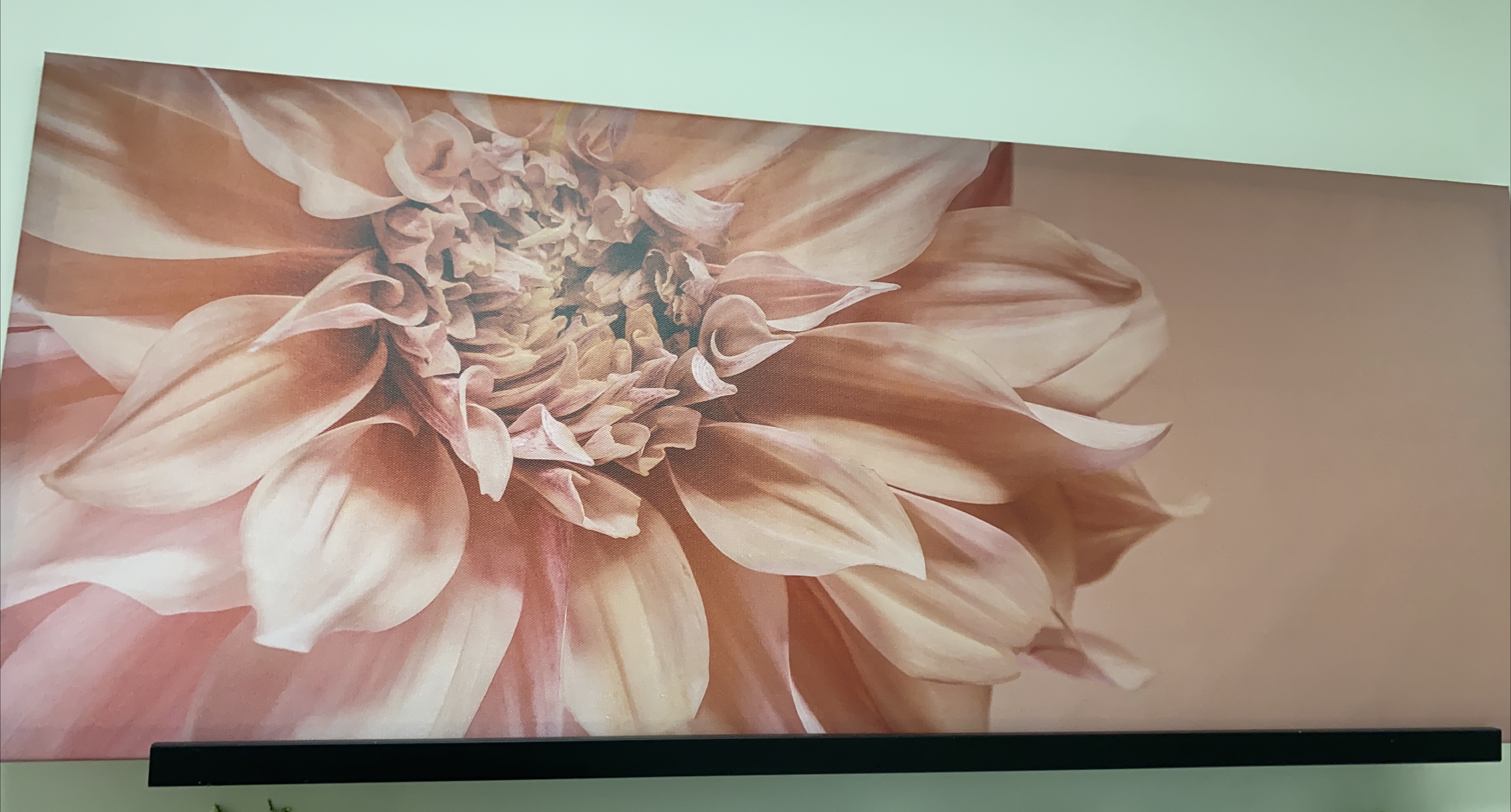 Floral Canvas Wall Art