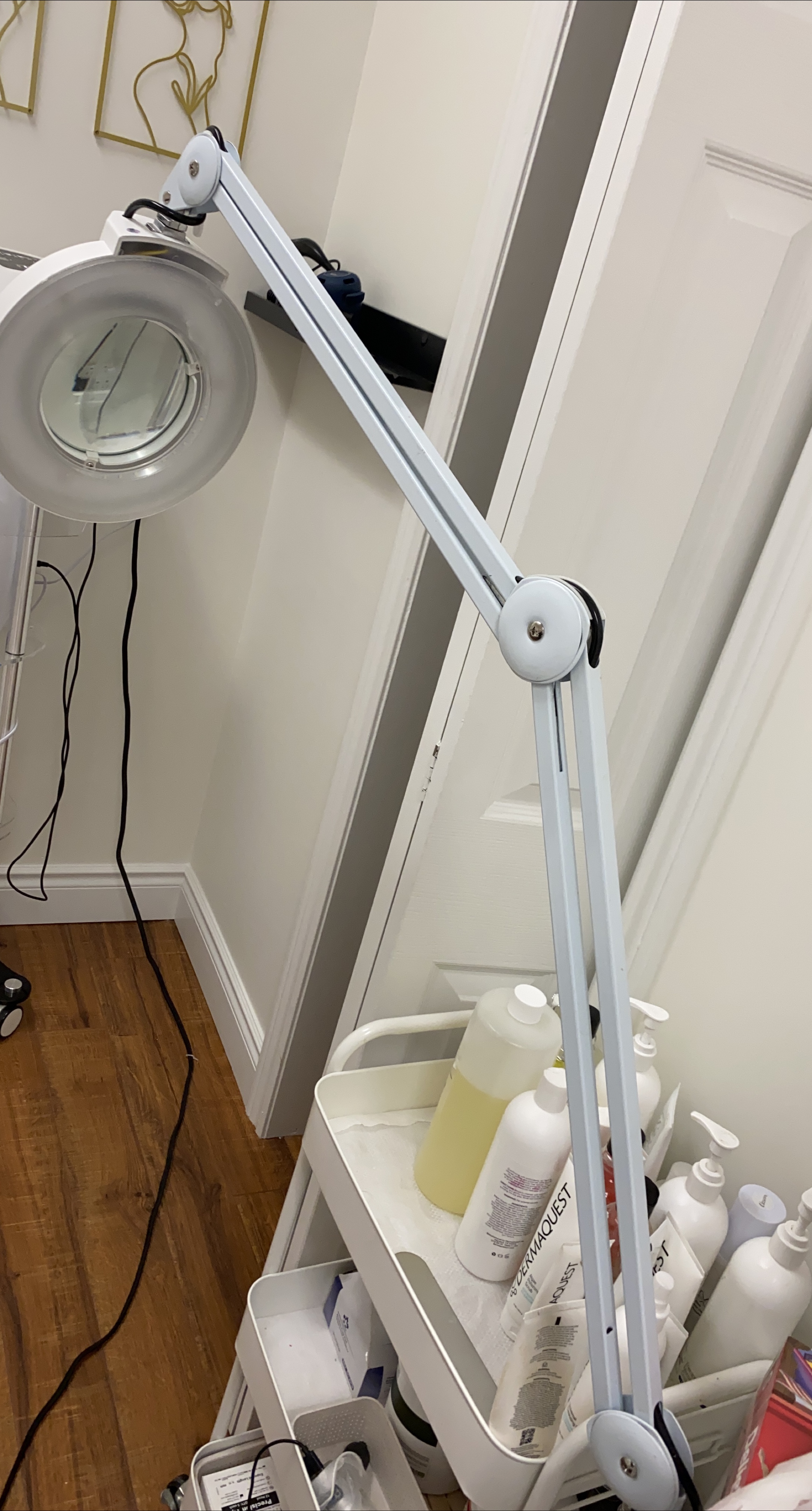 Magnifying Lamp - Adjustable Task Lighting