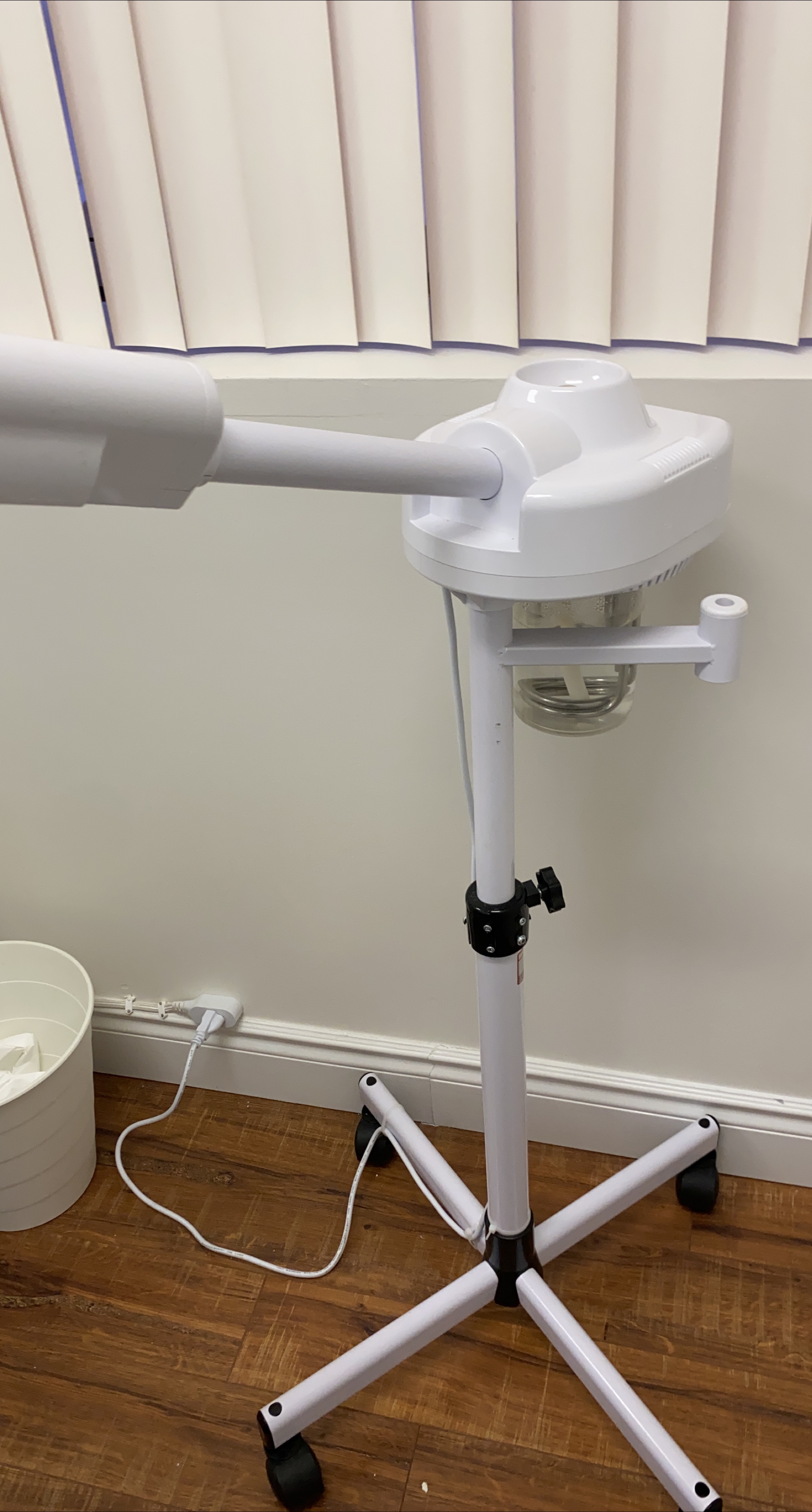 Facial Steamer