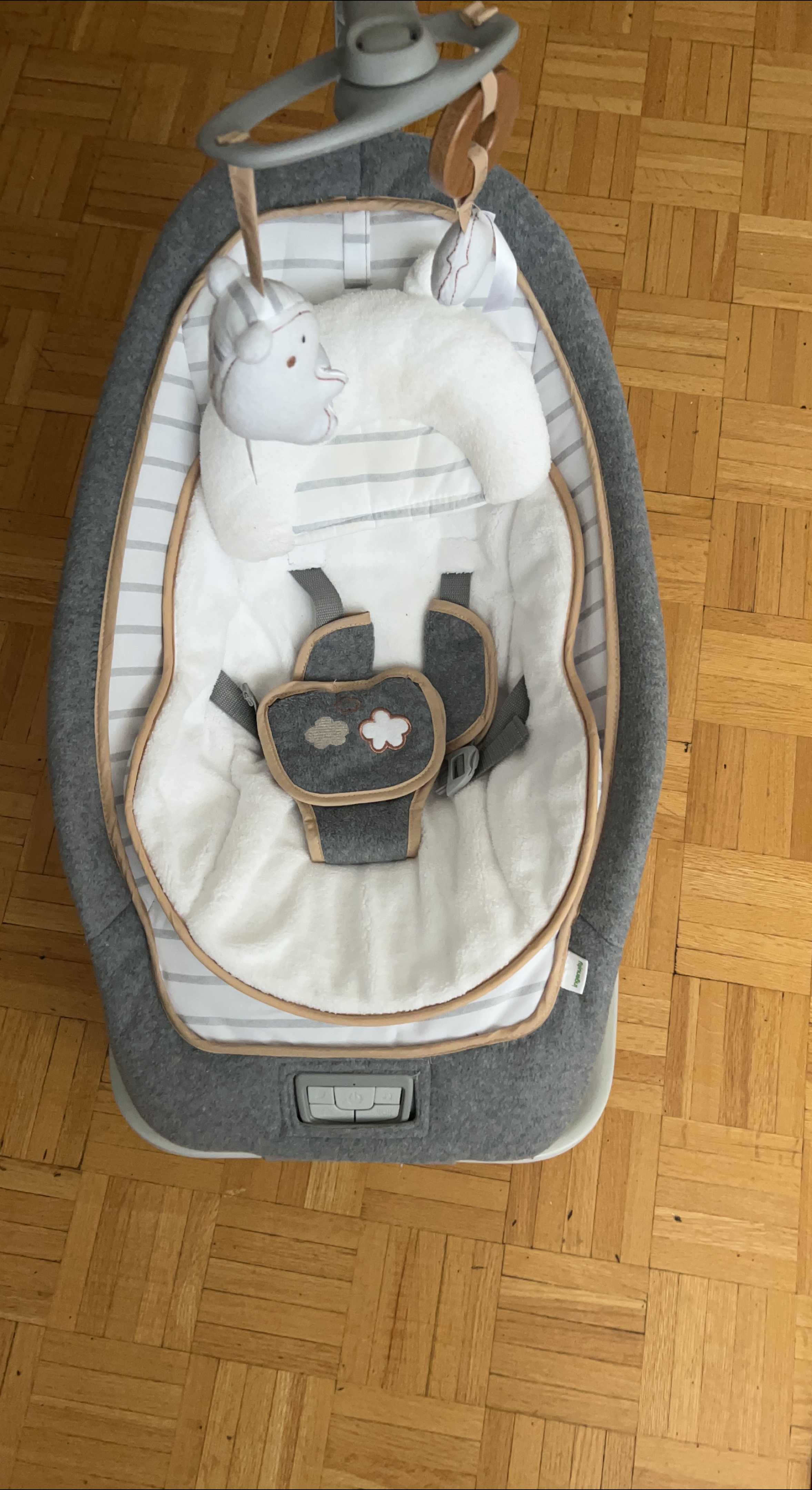 Ingenuity Baby Bouncer thumbnail