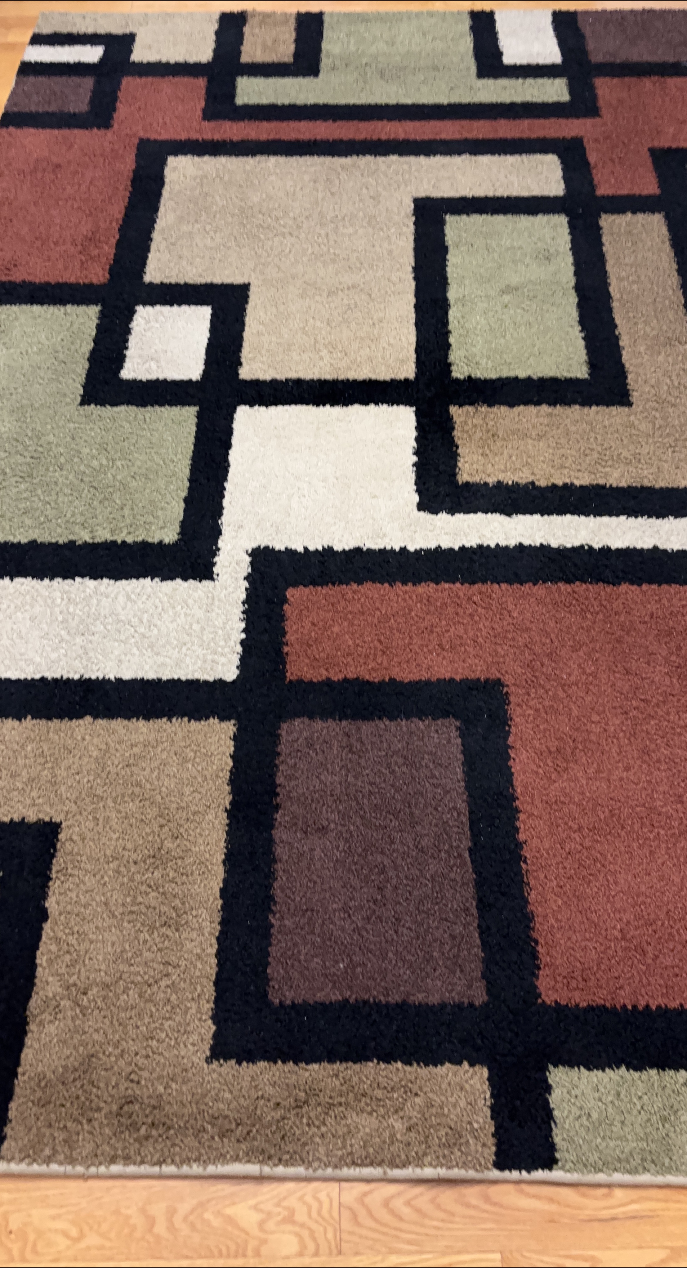 Geometric Pattern Area Rug thumbnail