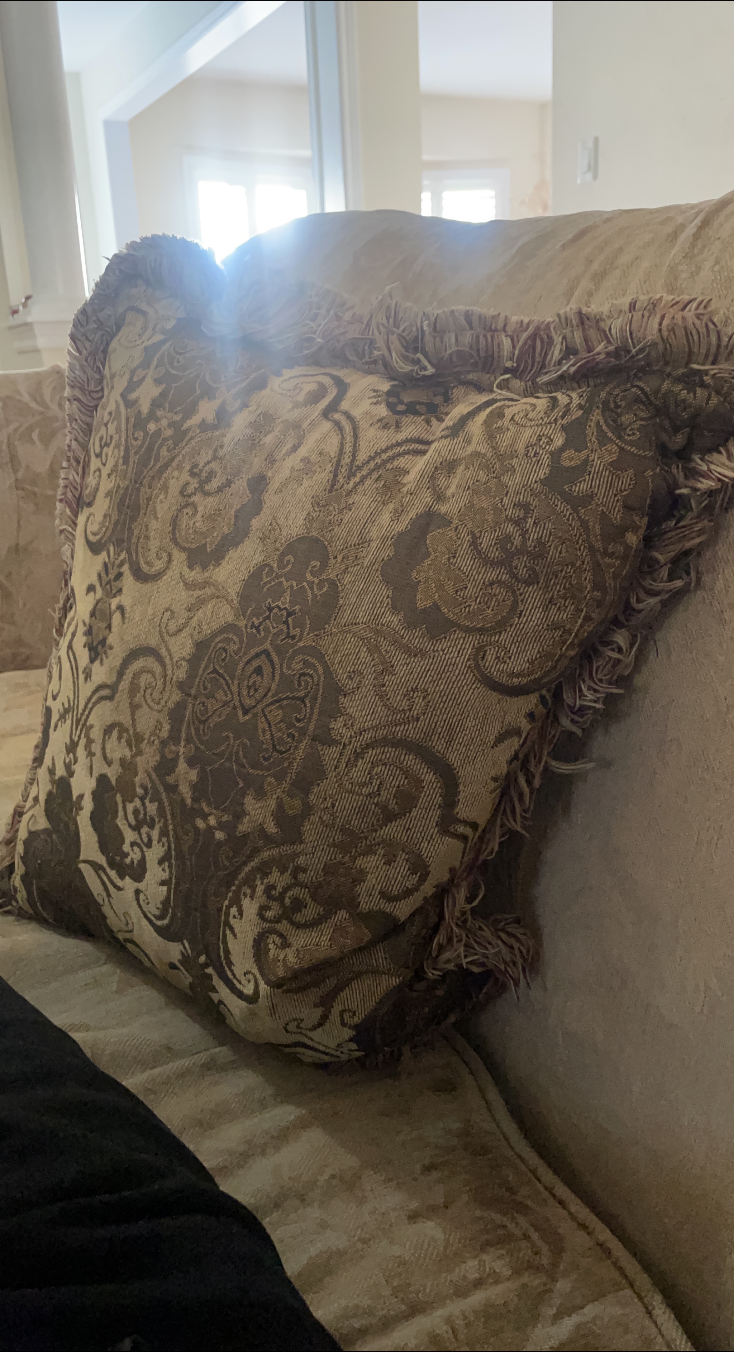 Decorative Throw Pillow with Fringe thumbnail