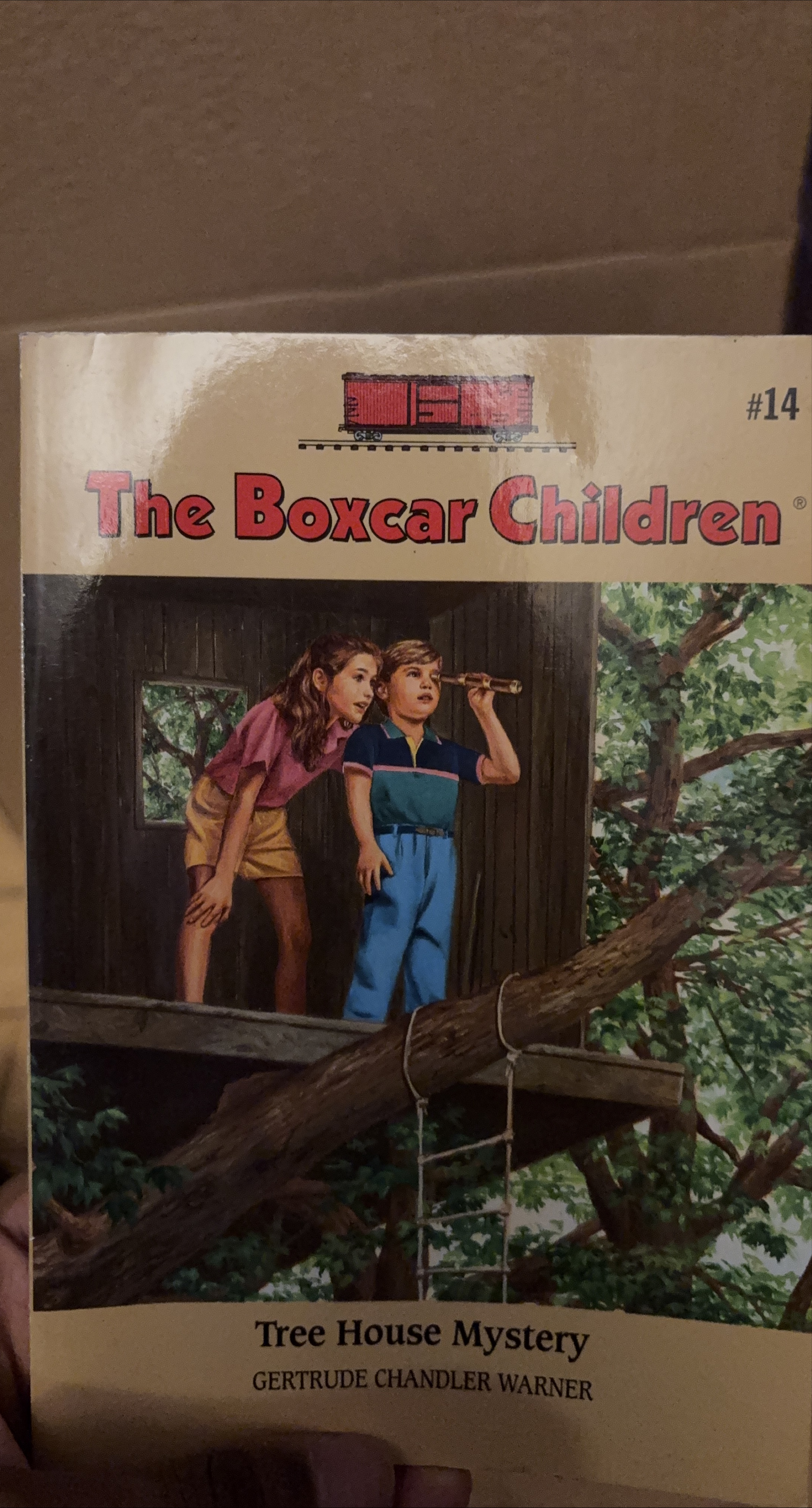 The Boxcar Children: Tree House Mystery thumbnail