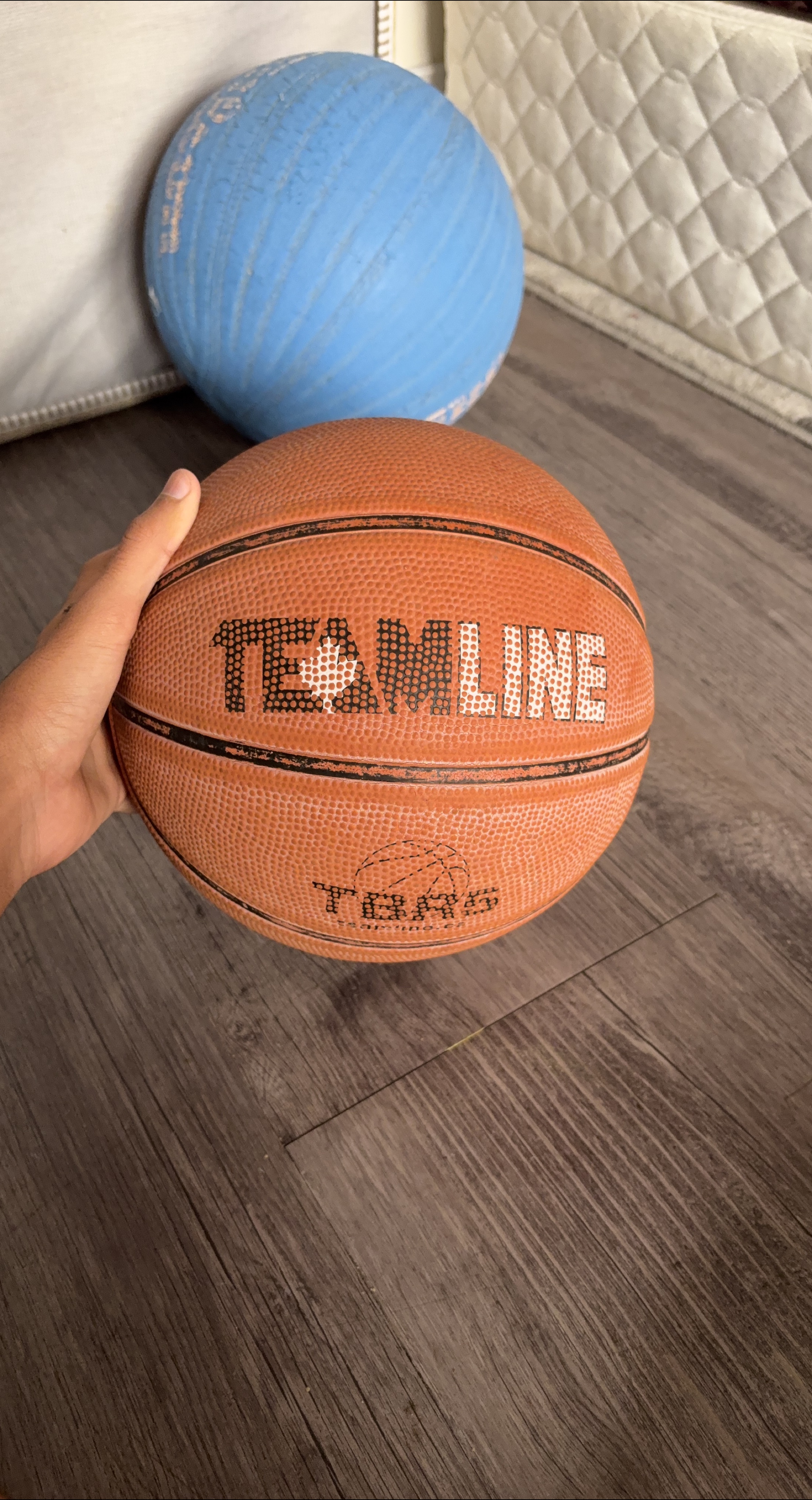 Teamline Basketball