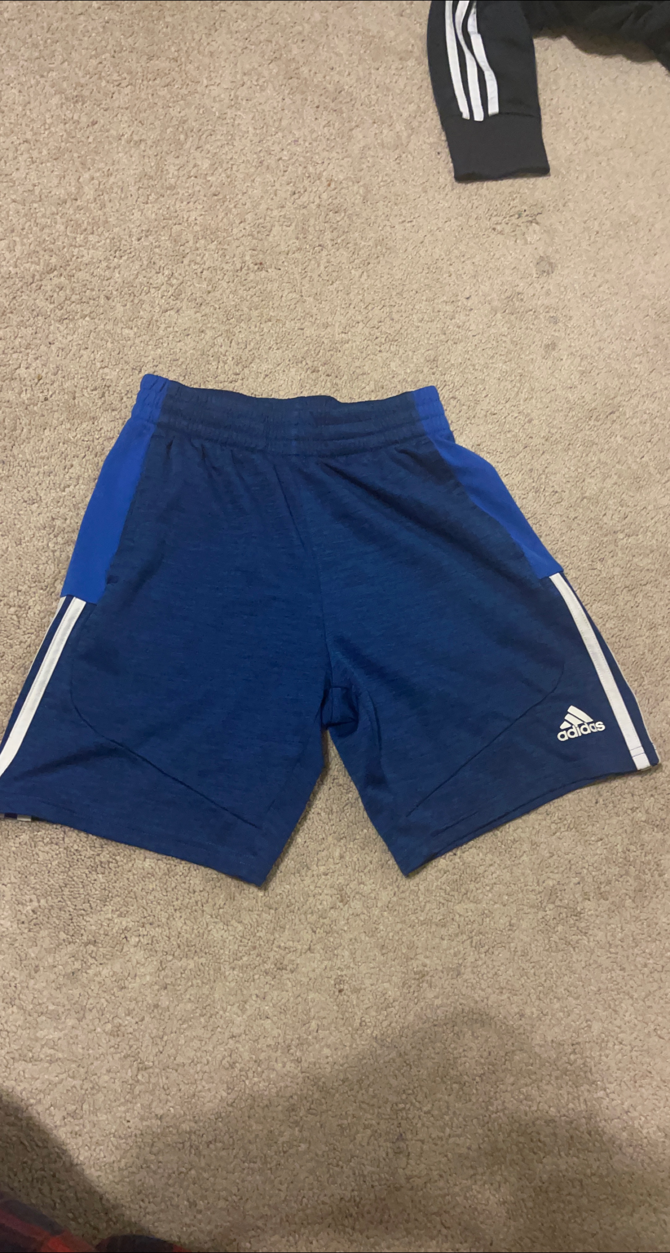 Adidas Blue Athletic Shorts thumbnail