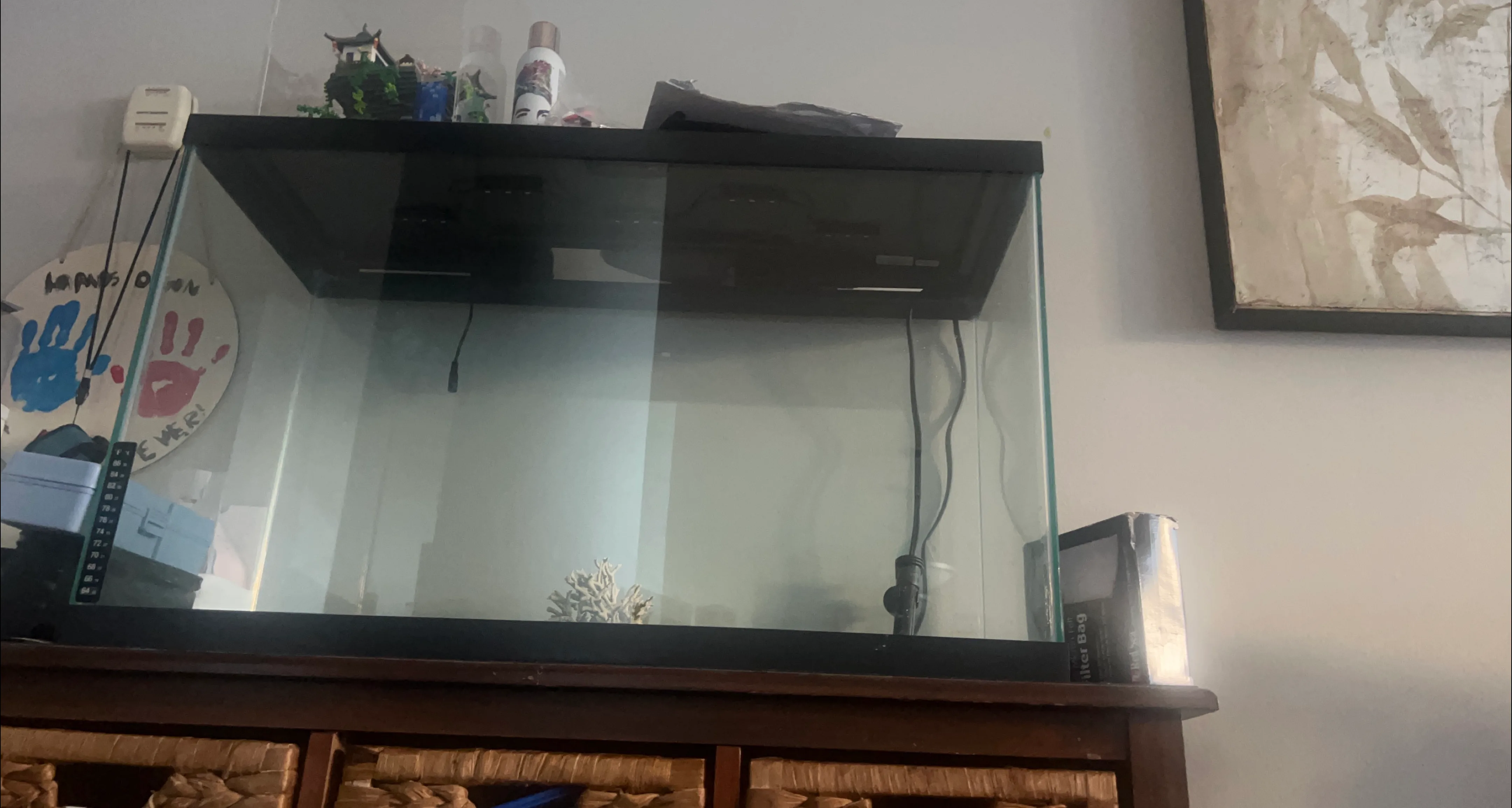 Fish Tank