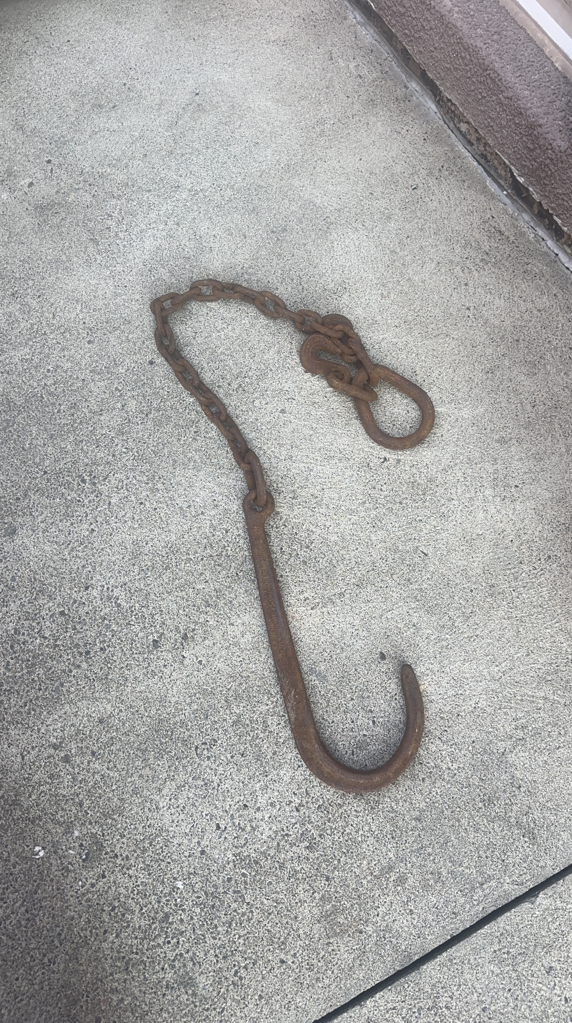 Chain with Hook thumbnail