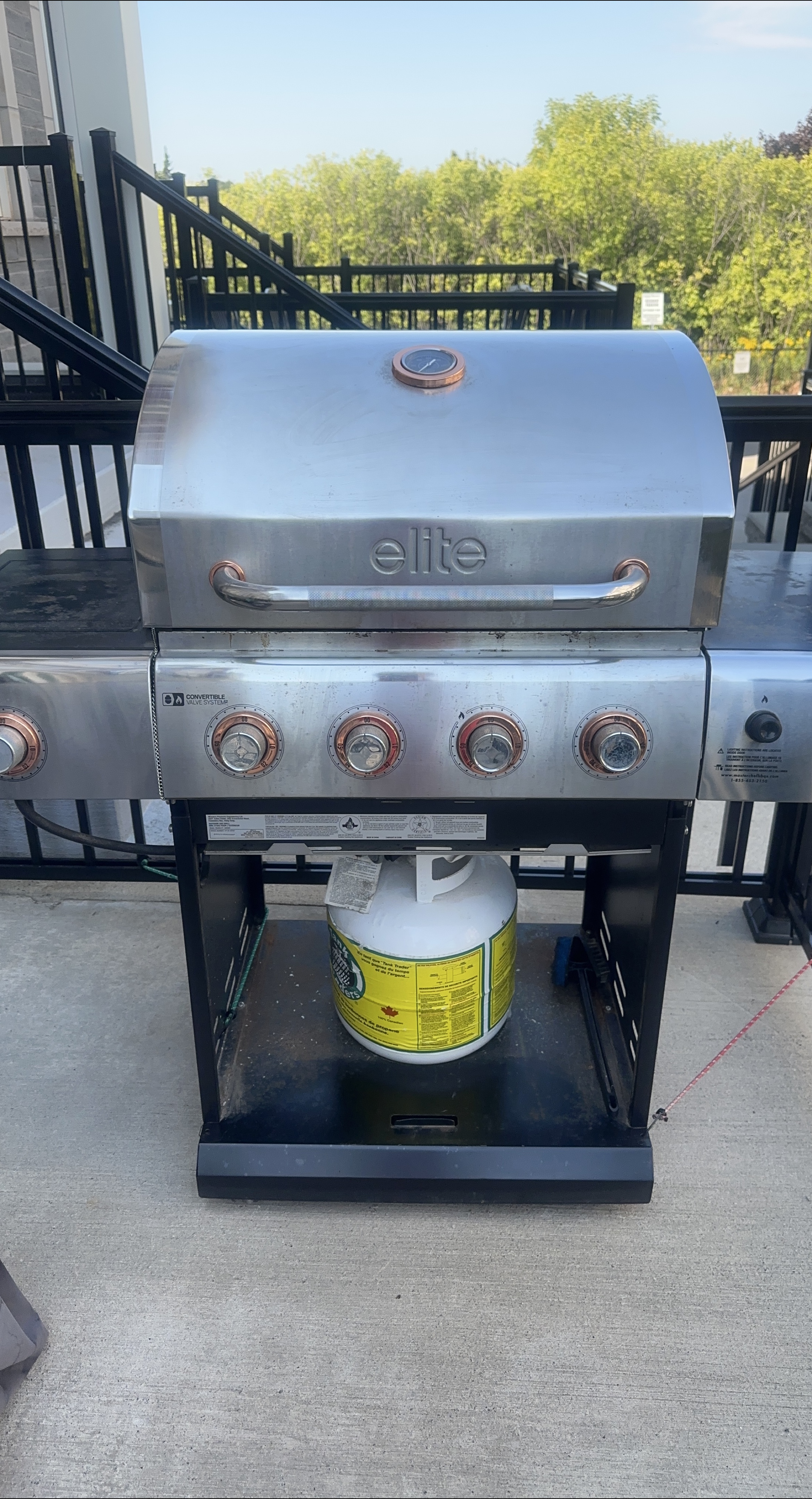 Backyard Grill Elite chef BBQ thumbnail
