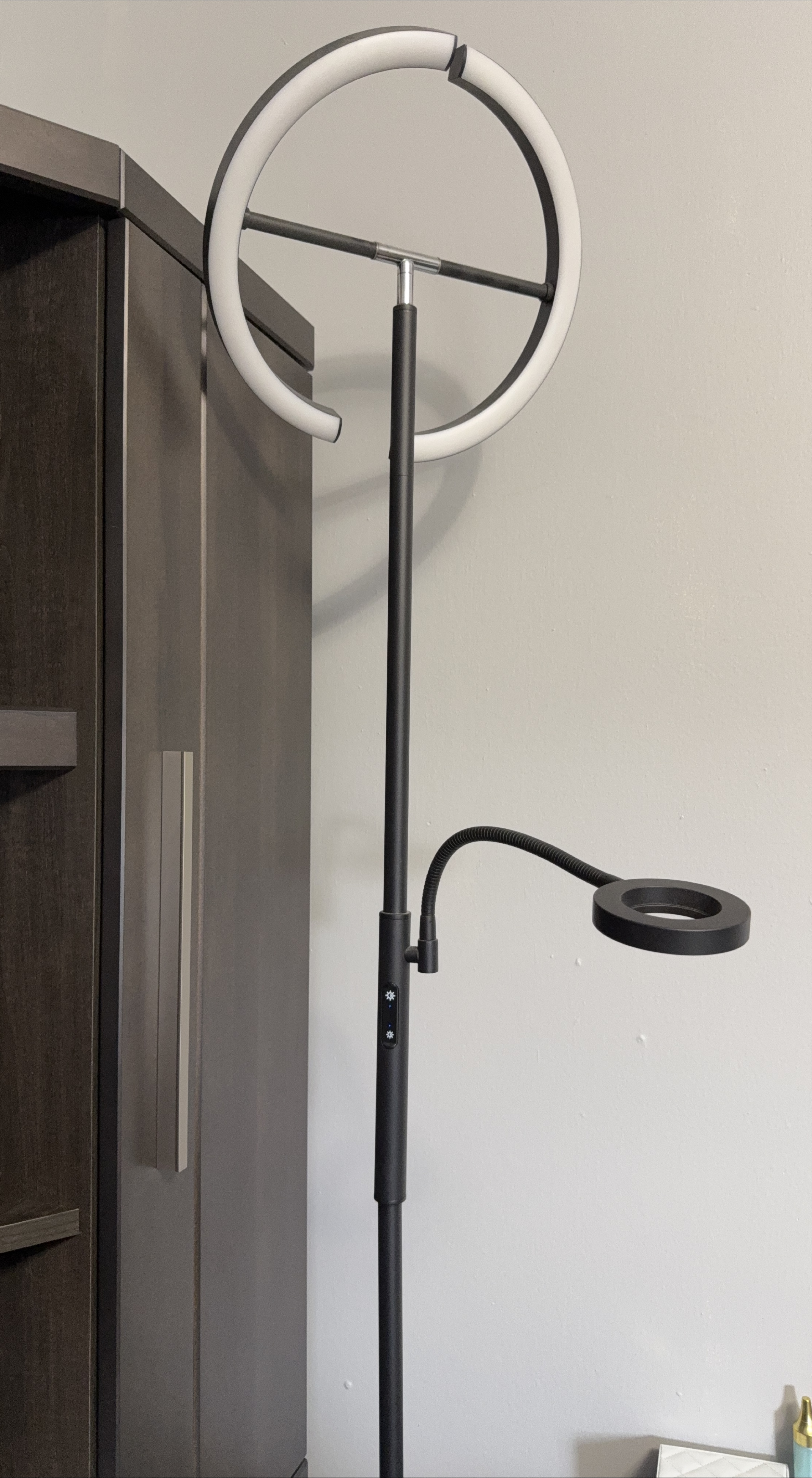 LED Floor Lamp with Adjustable Lights thumbnail