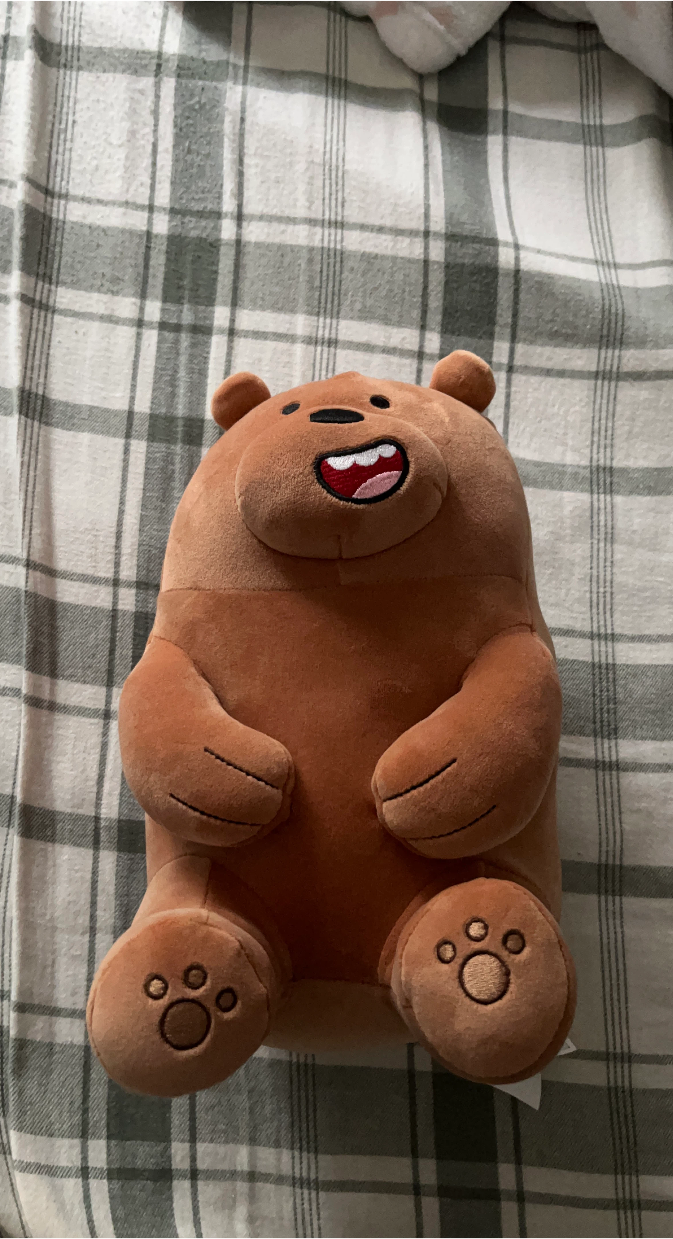 Miniso We Bare Bears Plushie thumbnail