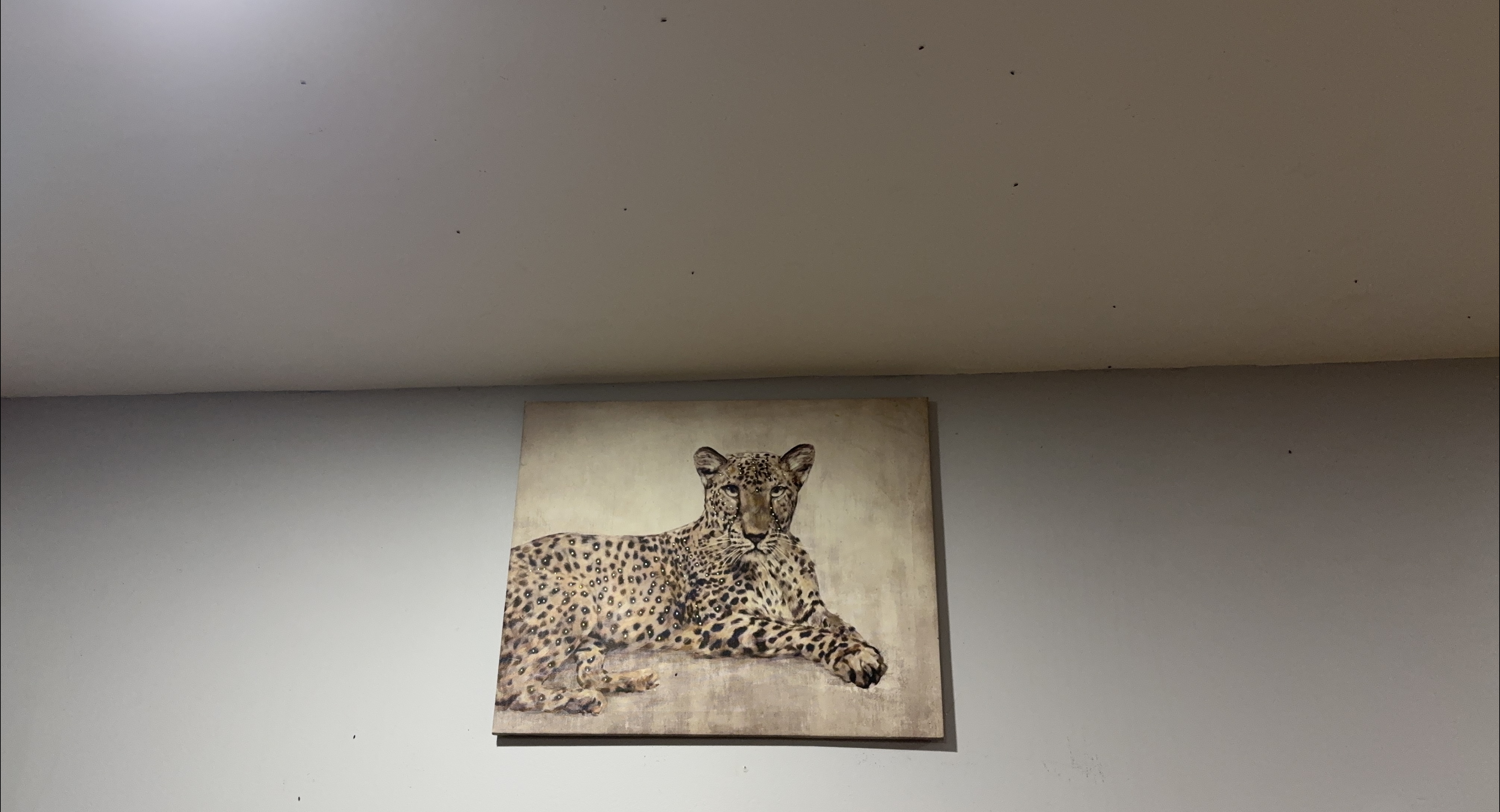 Leopard Print Wall Art thumbnail