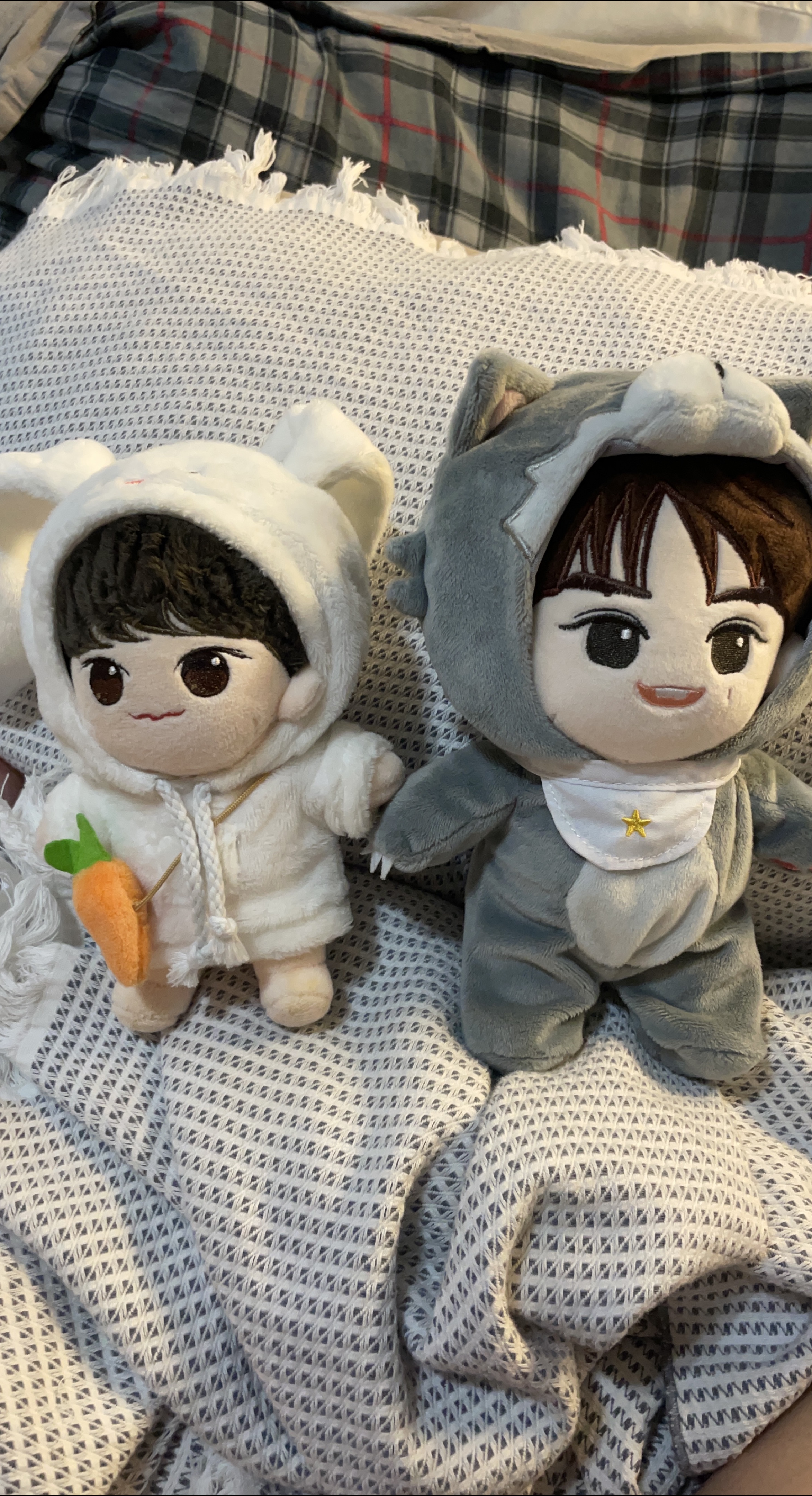Cute Plush Dolls - Bunny & Wolf thumbnail