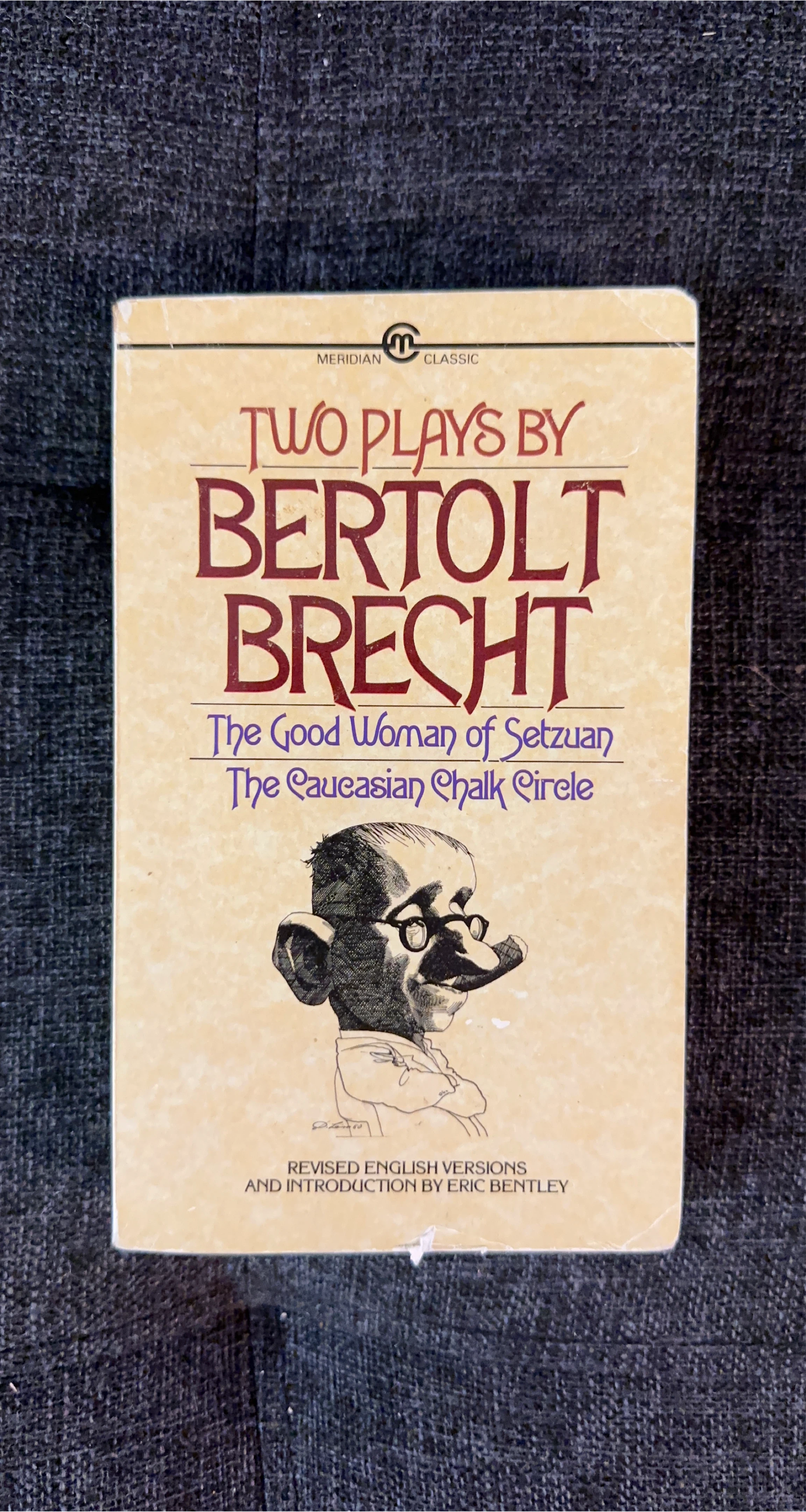 Two Plays by Bertolt Brecht - Meridian Classic thumbnail