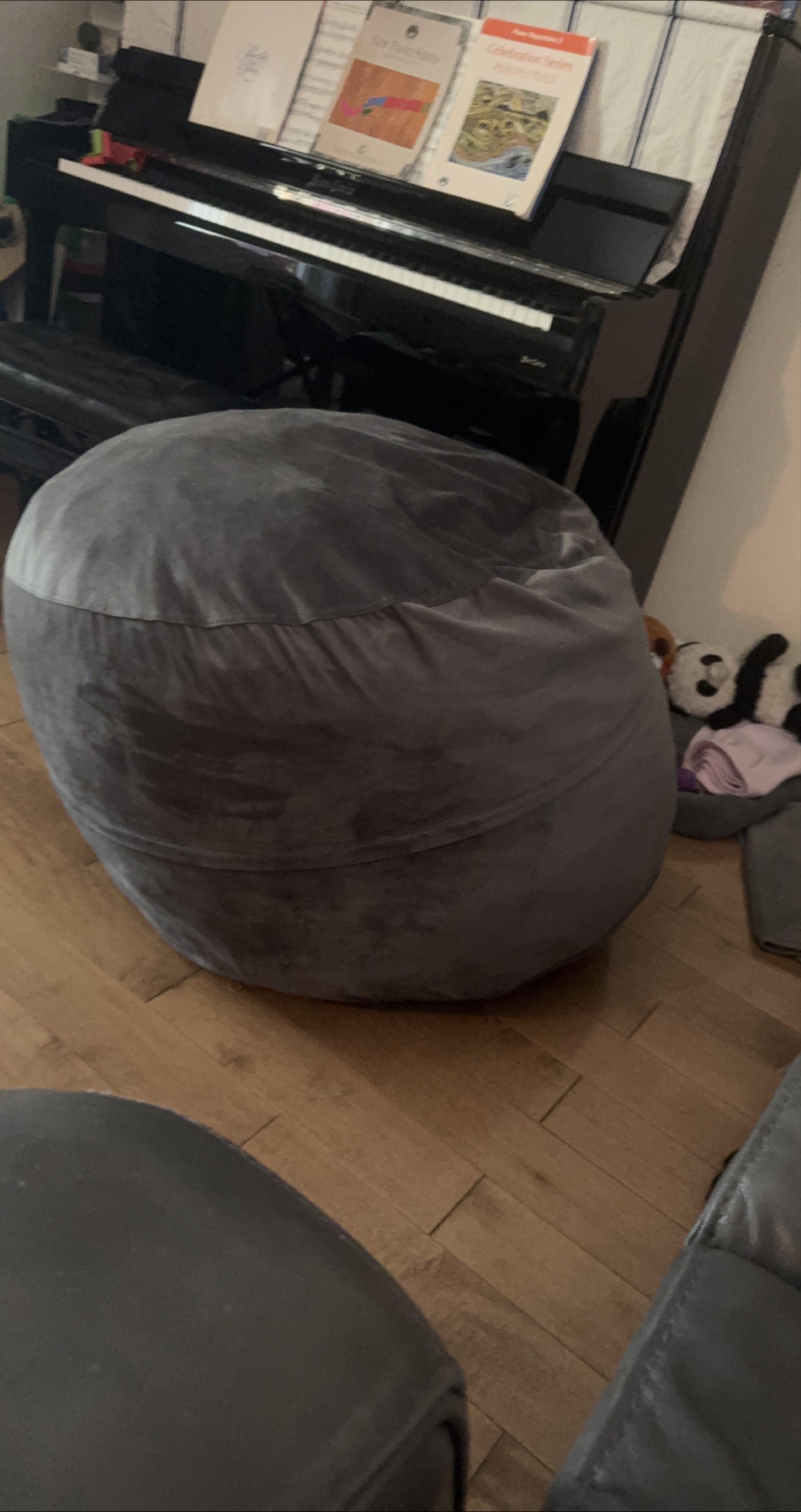 Grey Bean Bag Chair thumbnail
