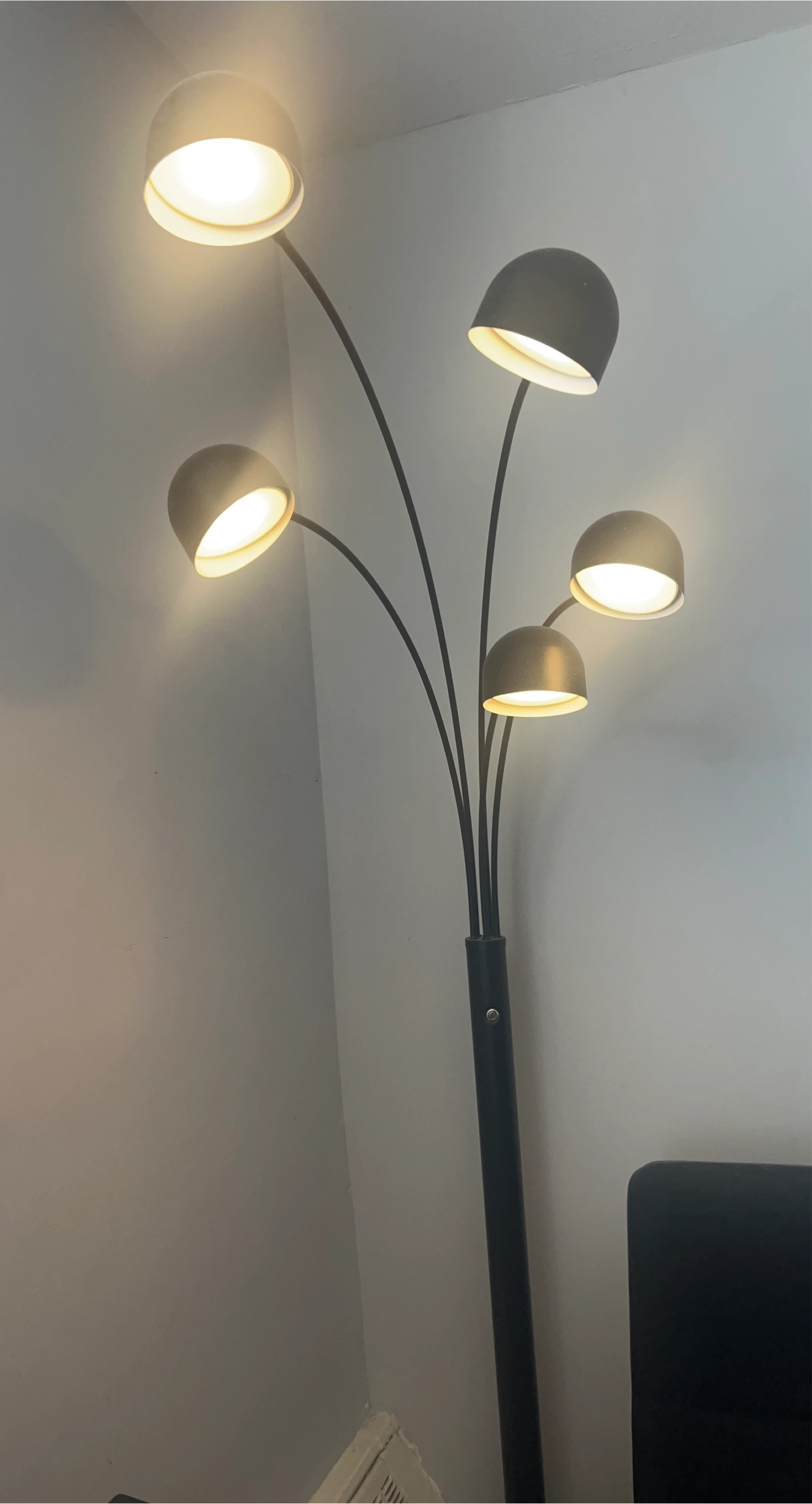 Modern Black Multi-Head Floor Lamp thumbnail