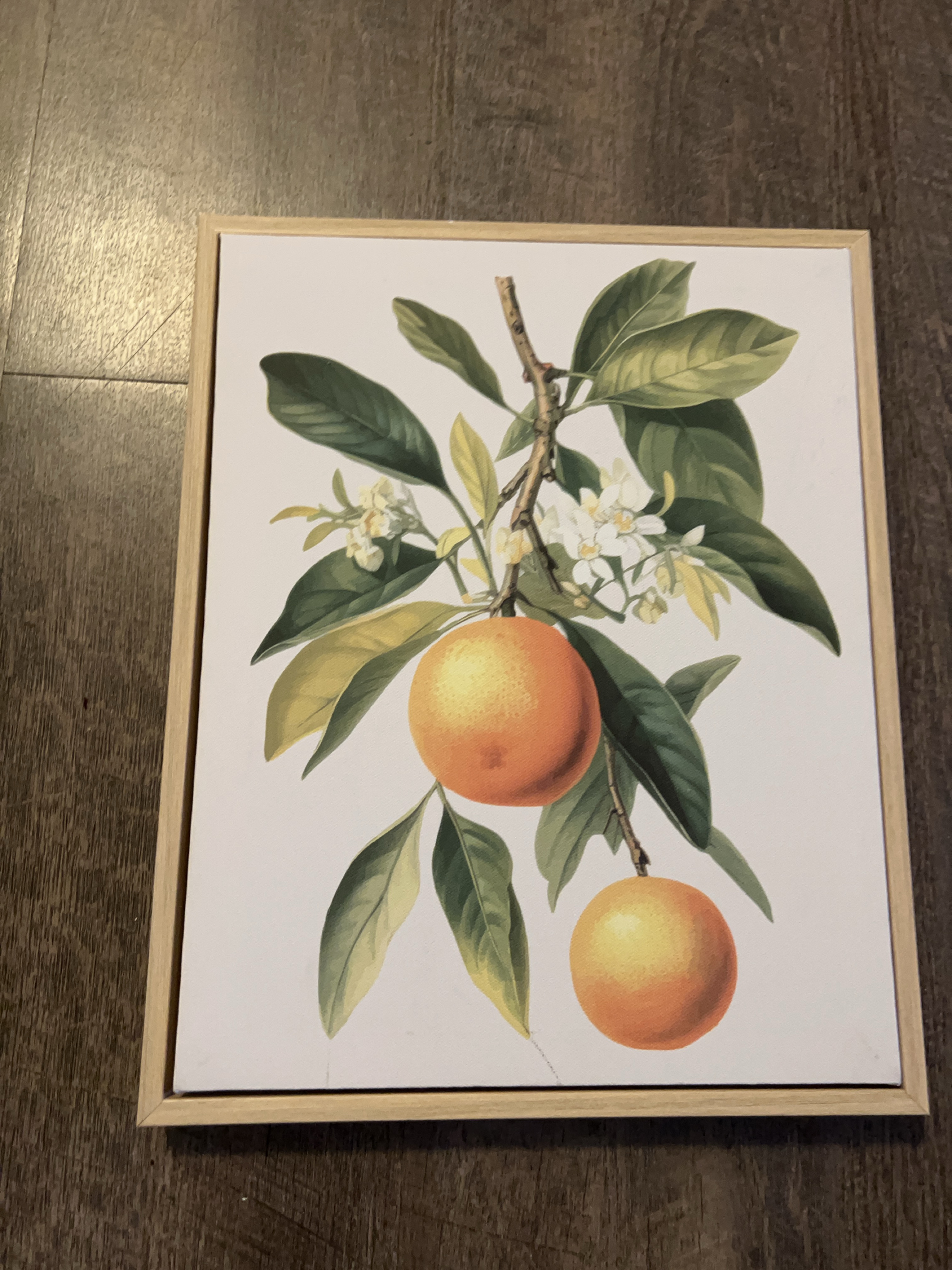 Framed Orange Botanical Print thumbnail