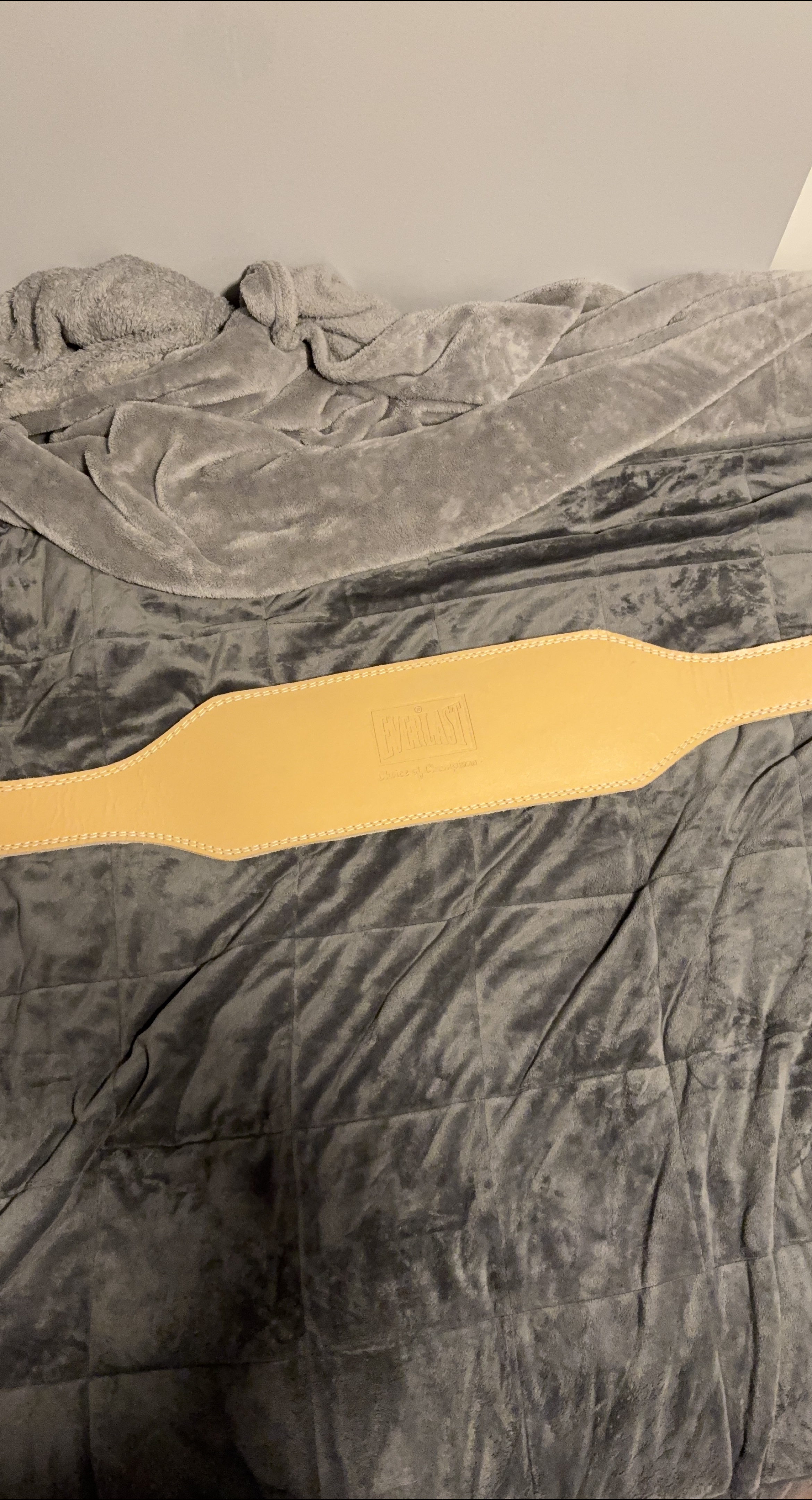 Everlast Leather Weight Lifting Belt