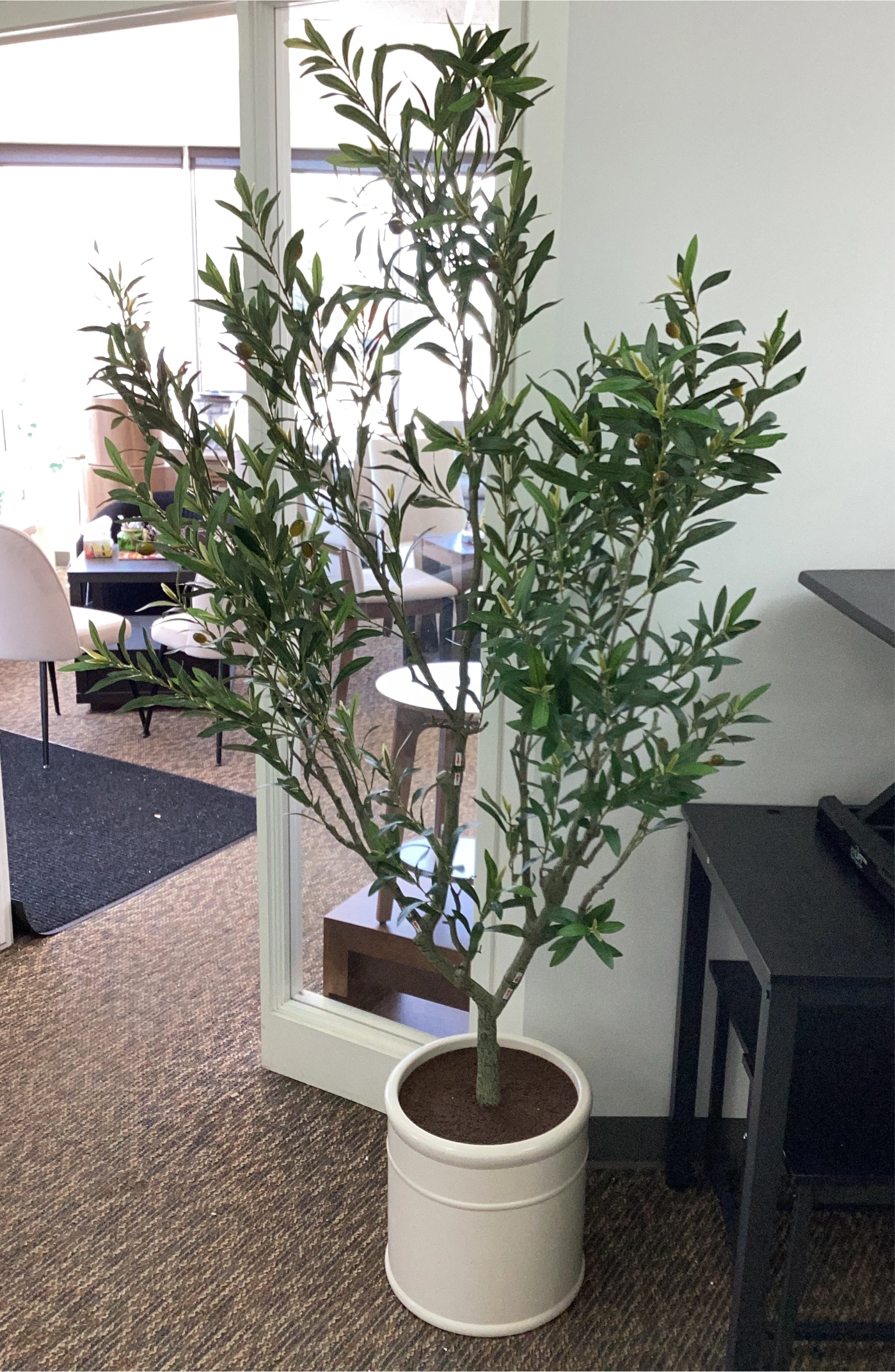 Faux Olive Tree in White Pot thumbnail