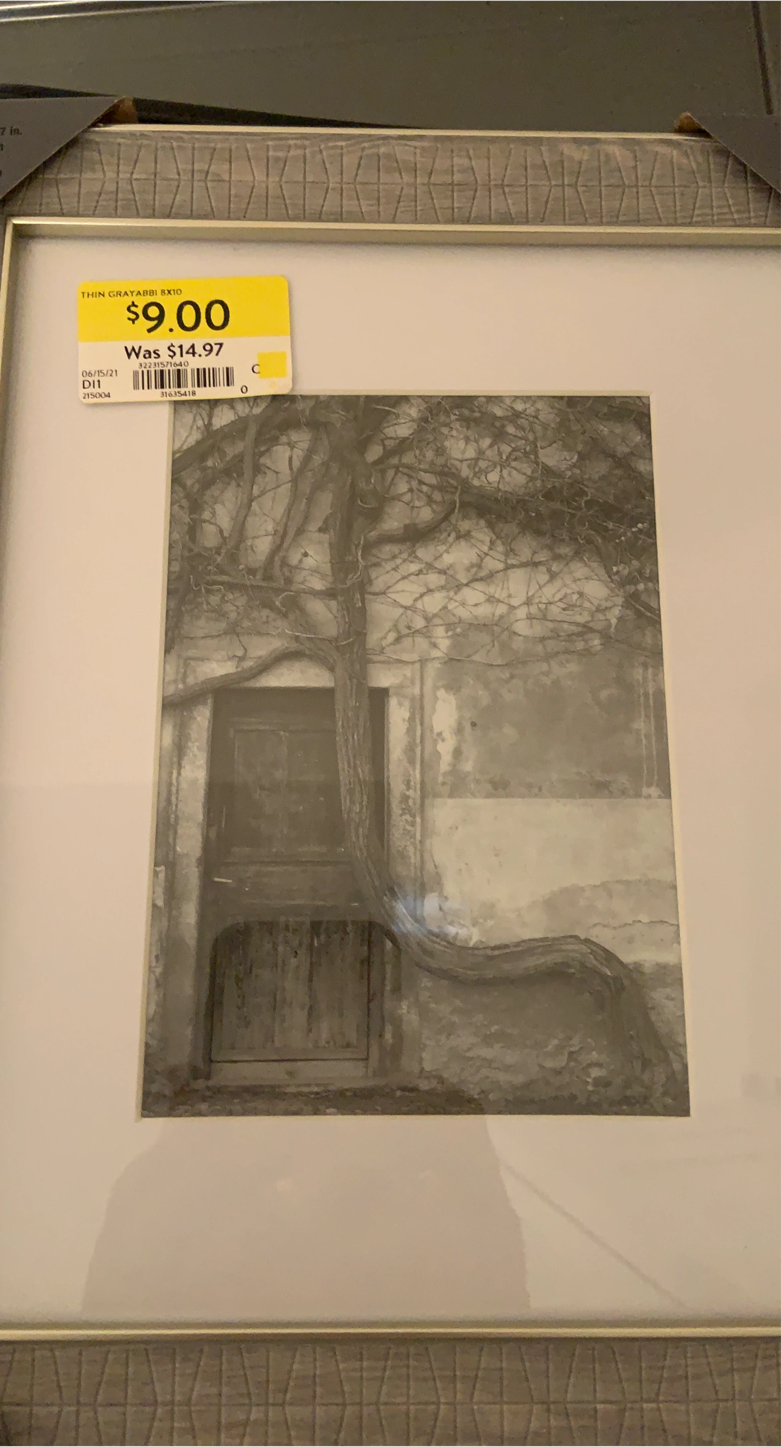 Thin Grayabbi 8x10 Picture Frame thumbnail