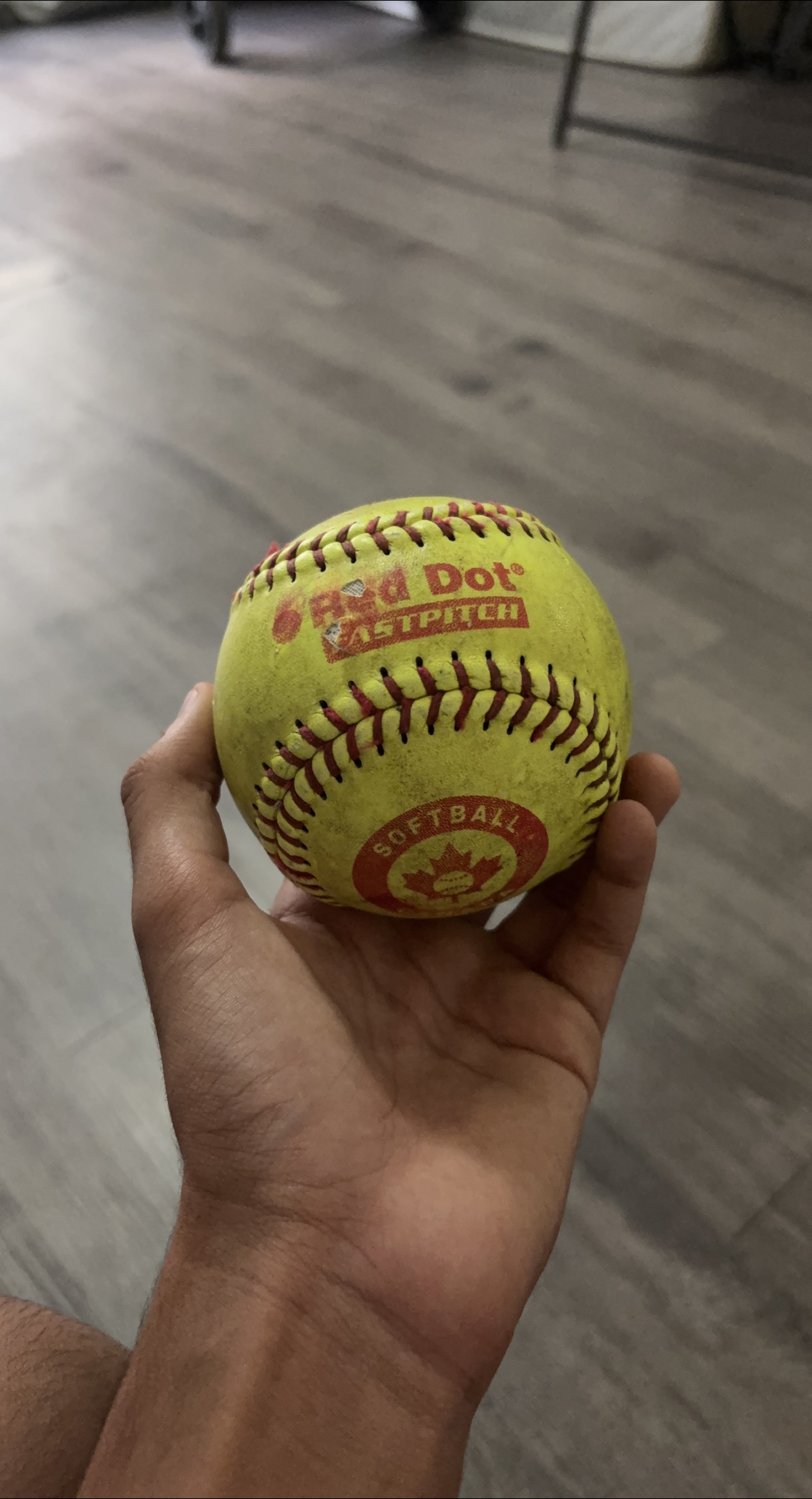 Red Dot Fastpitch Softball