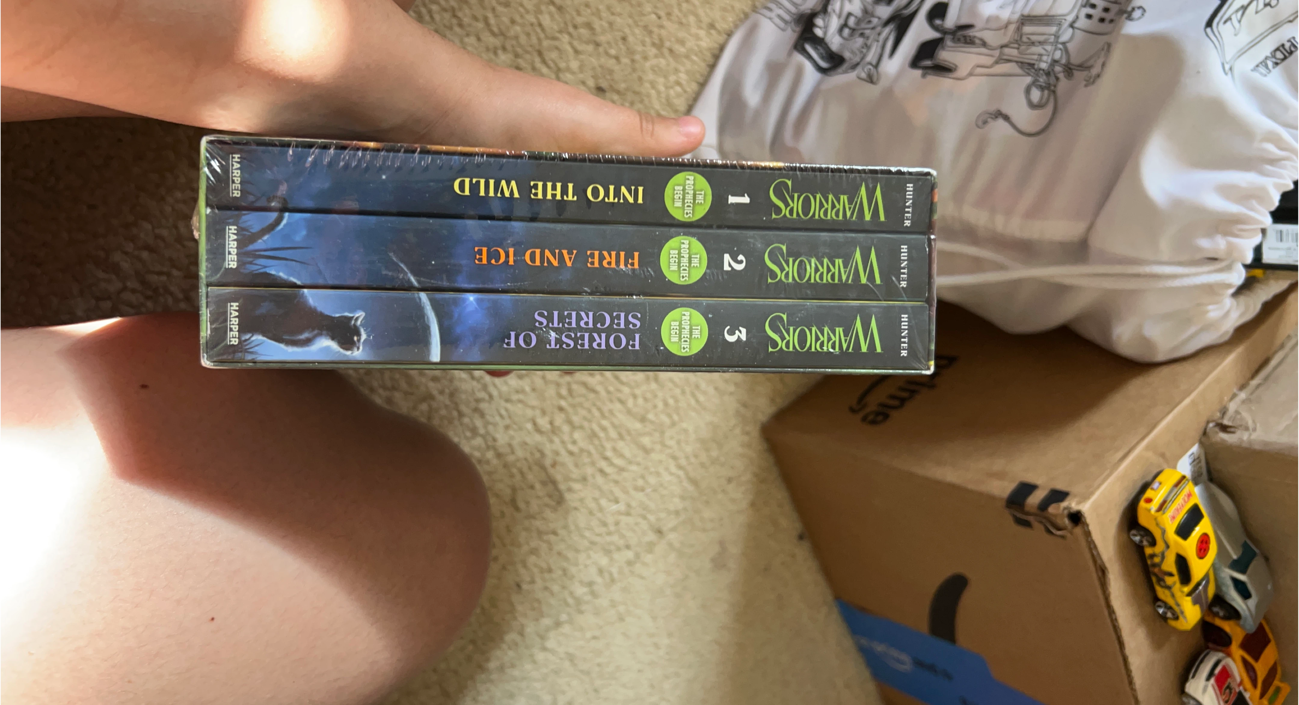 Warriors: The Prophecies Begin Books 1-3 thumbnail