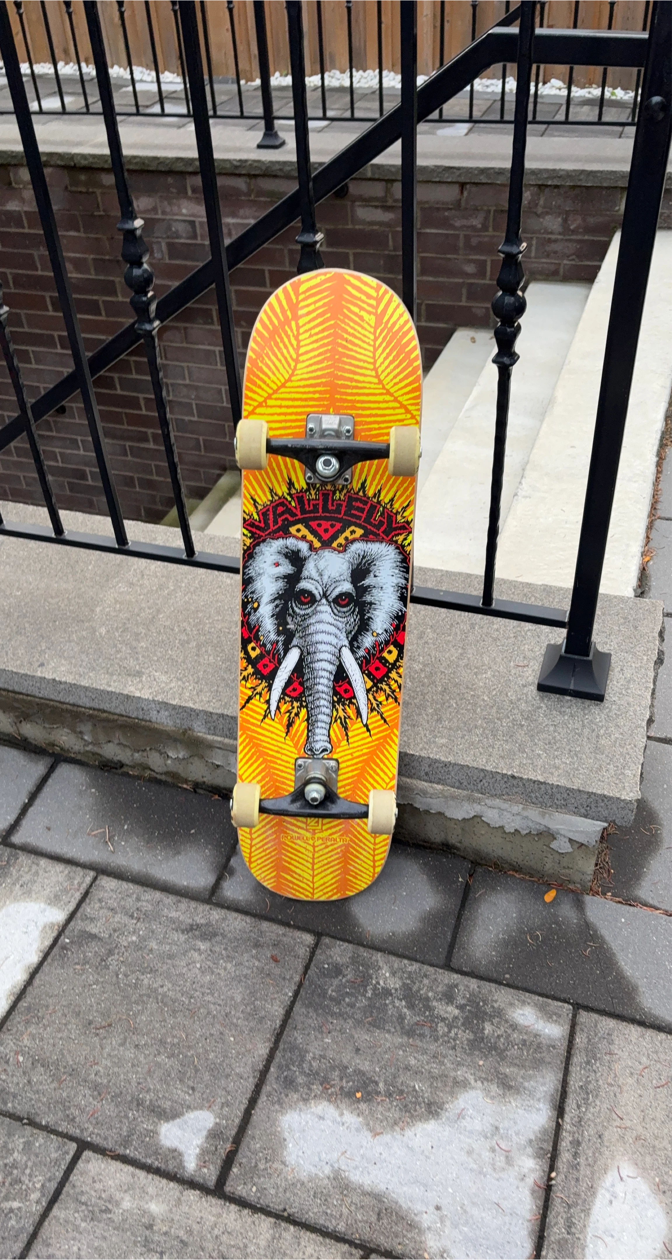 Powell Peralta Vallely Elephant Skateboard thumbnail