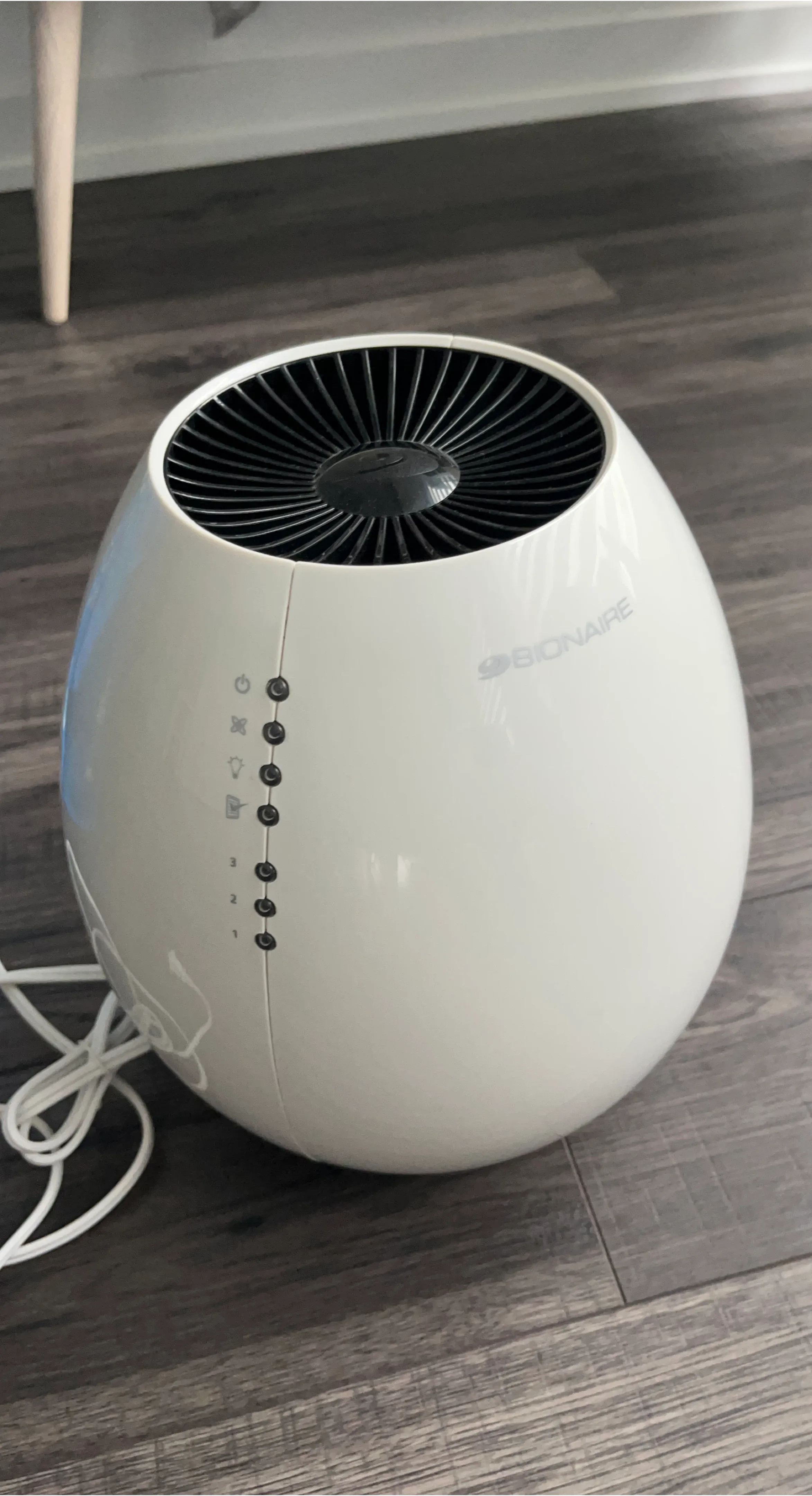 Bionaire Egg Air Purifier