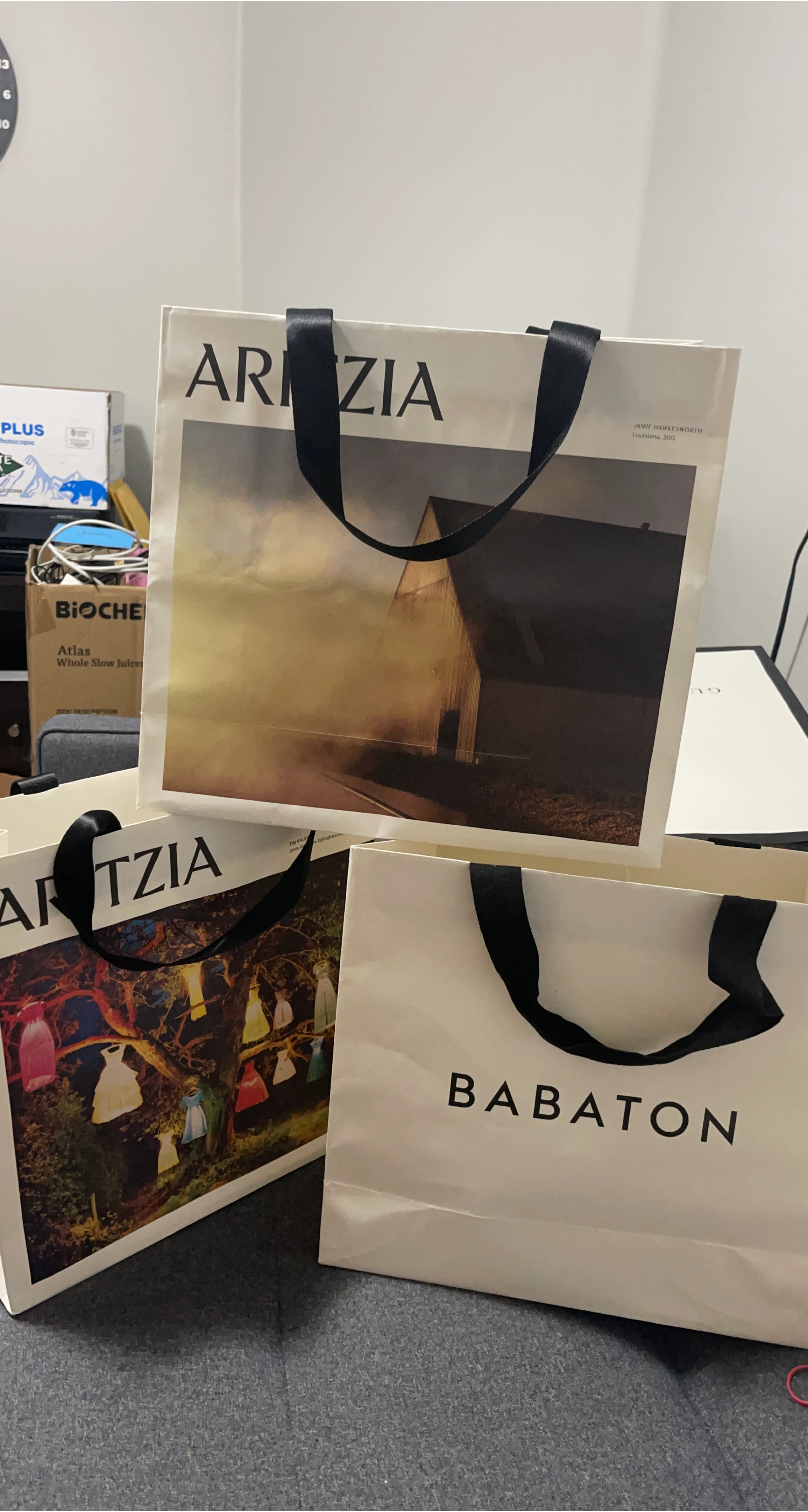 Aritzia bags with Free Dior and Marc Jacob thumbnail