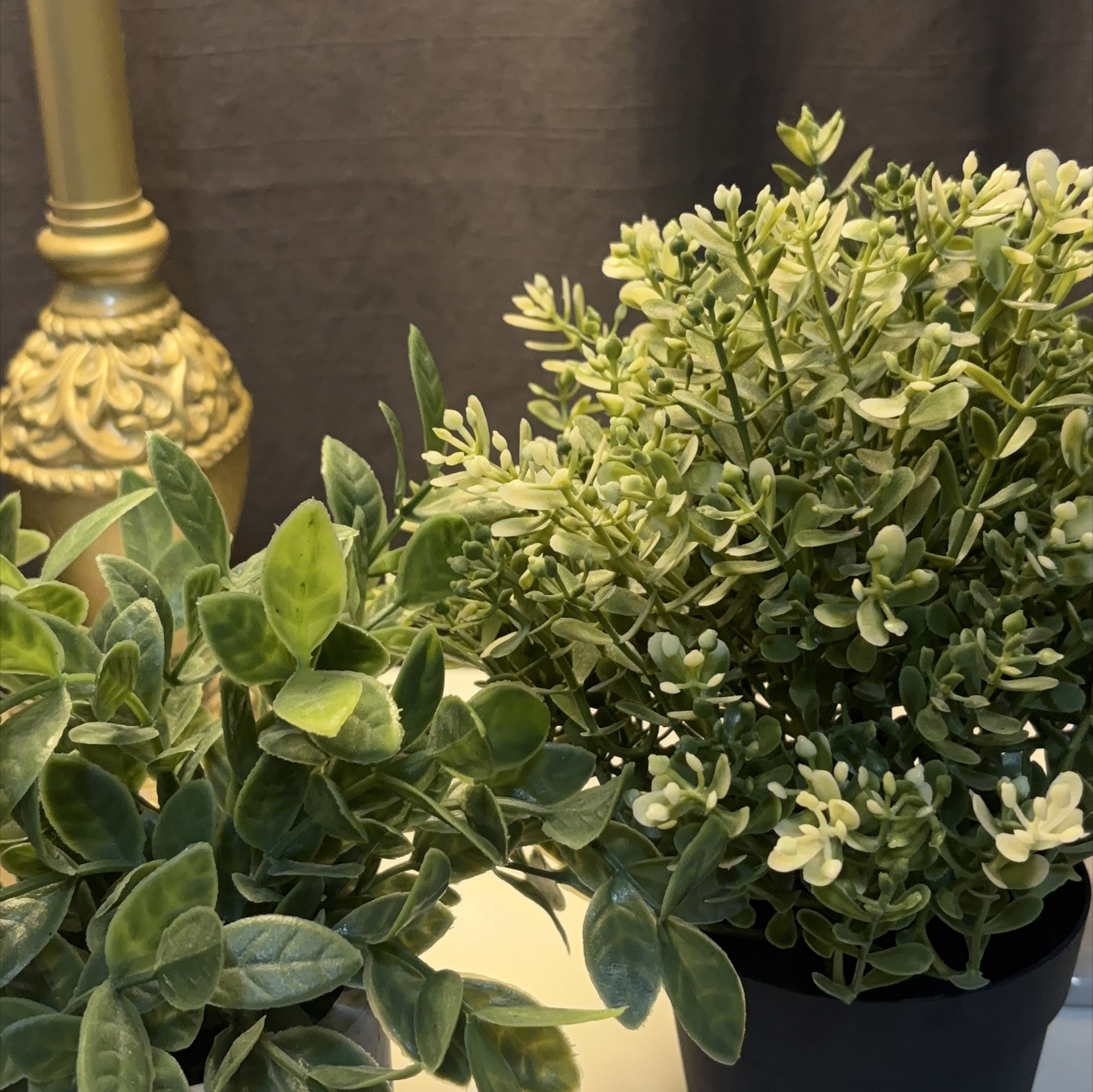 Artificial plants thumbnail