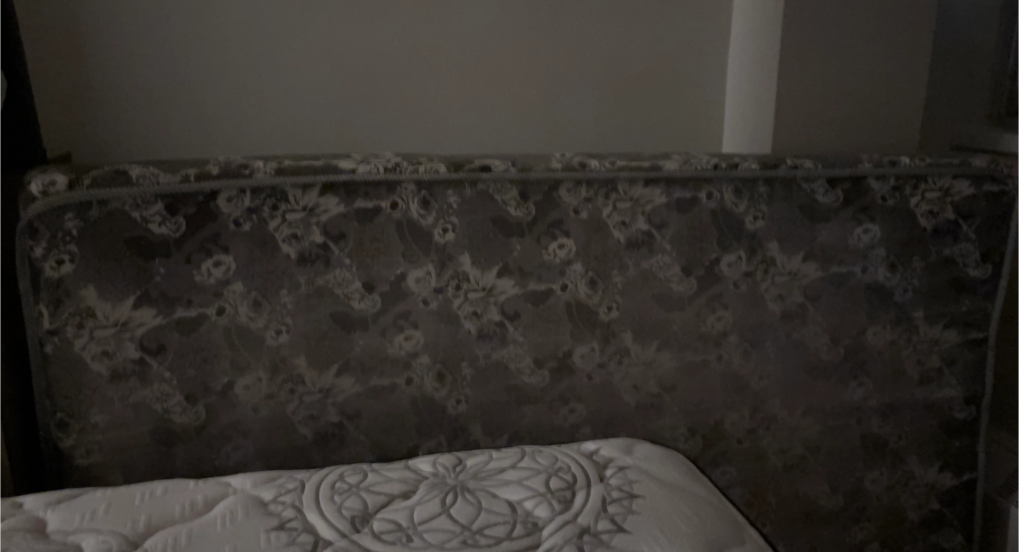 Upholstered Headboard thumbnail
