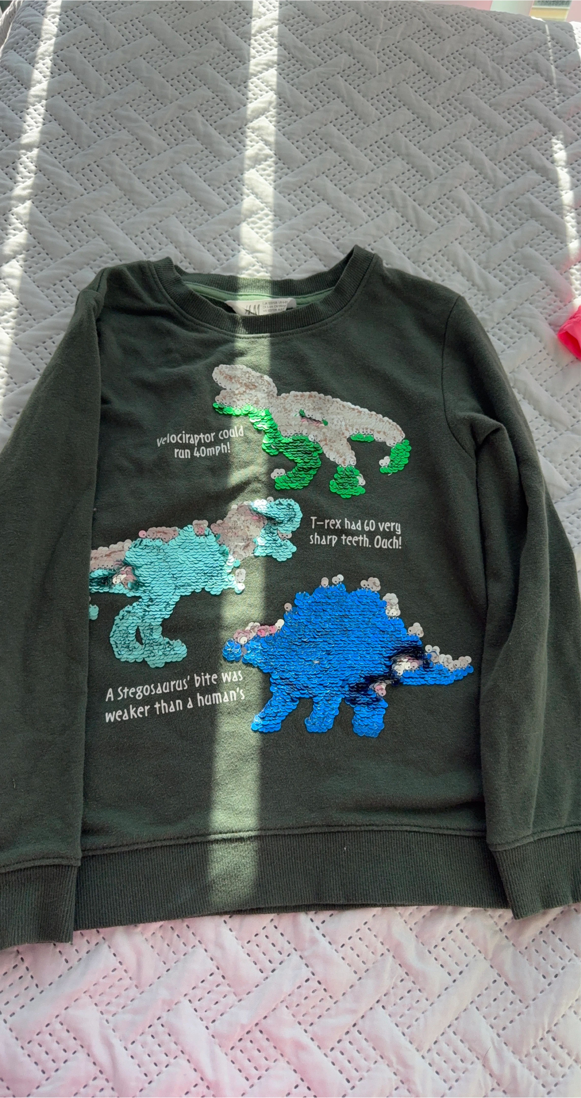 H&M Dinosaur Sequin Sweater thumbnail