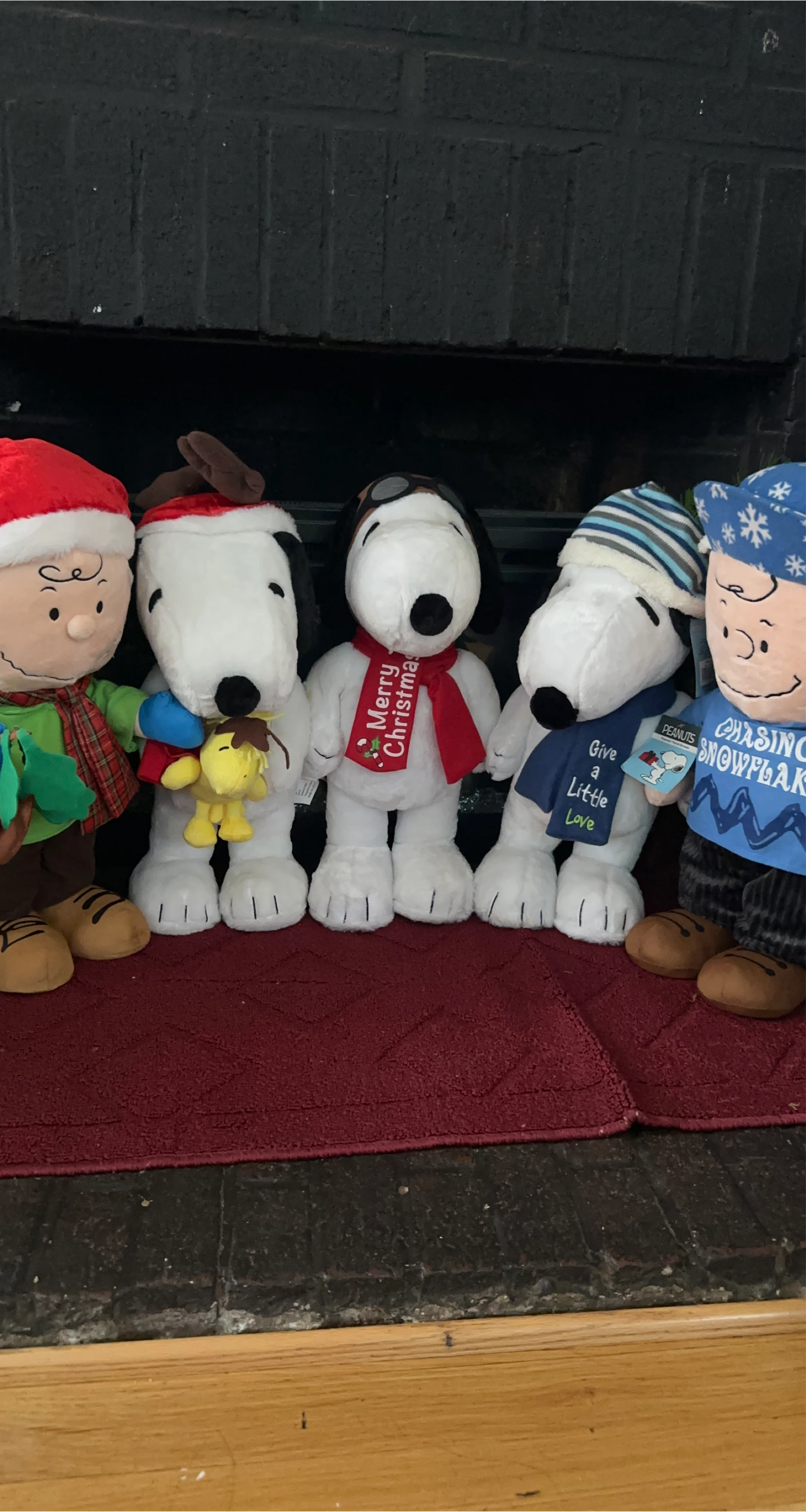 Peanuts Gang Plush Toys - Snoopy & Charlie Brown