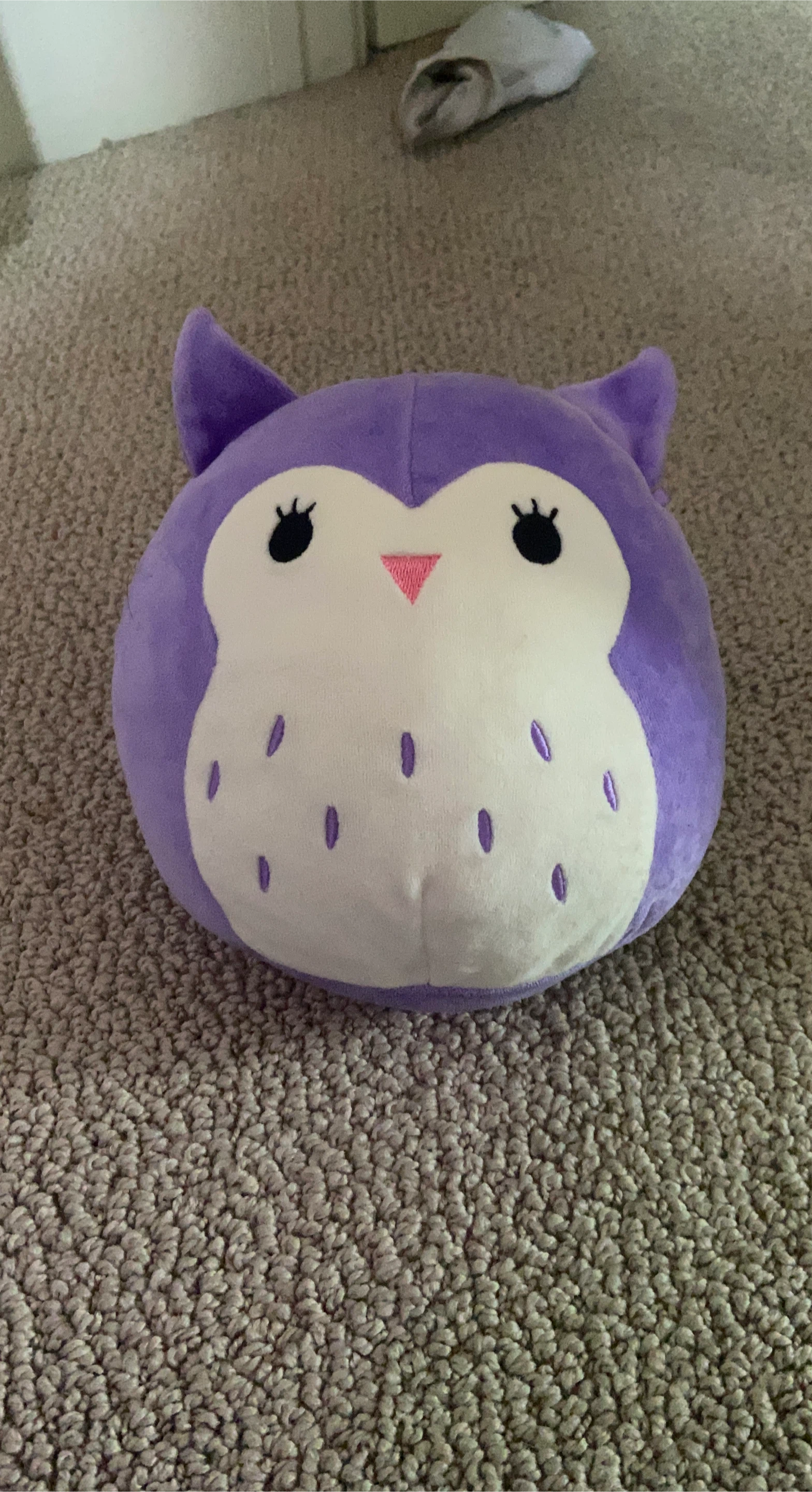 Purple Owl Squishmallow