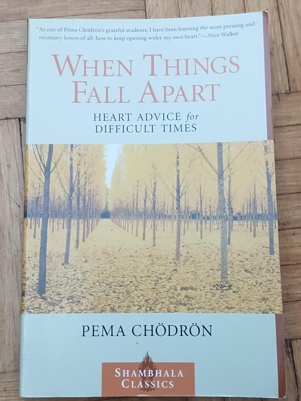 When Things Fall Apart by Pema Chödrön thumbnail