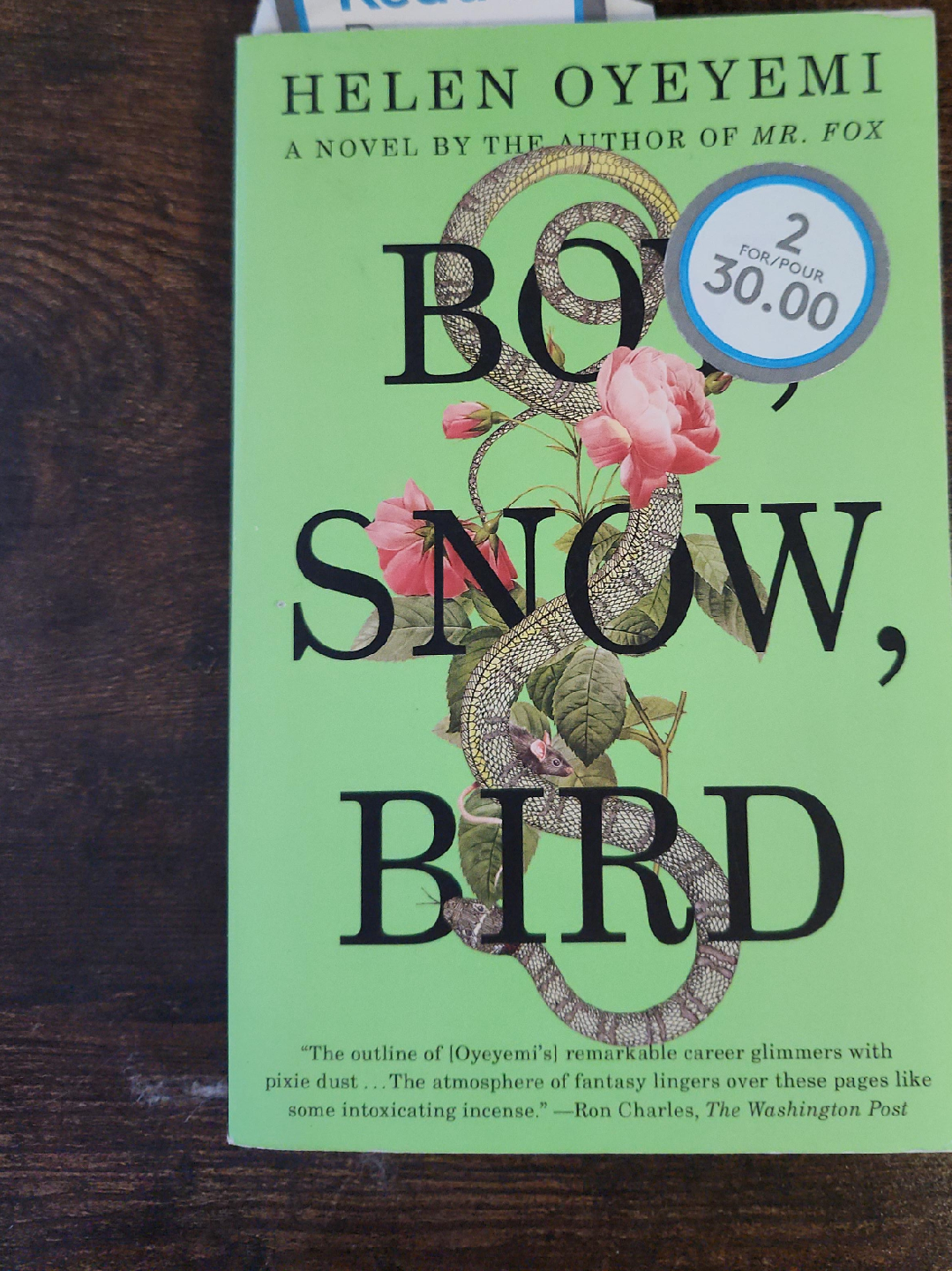 Boy, Snow, Bird by Helen Oyeyemi thumbnail
