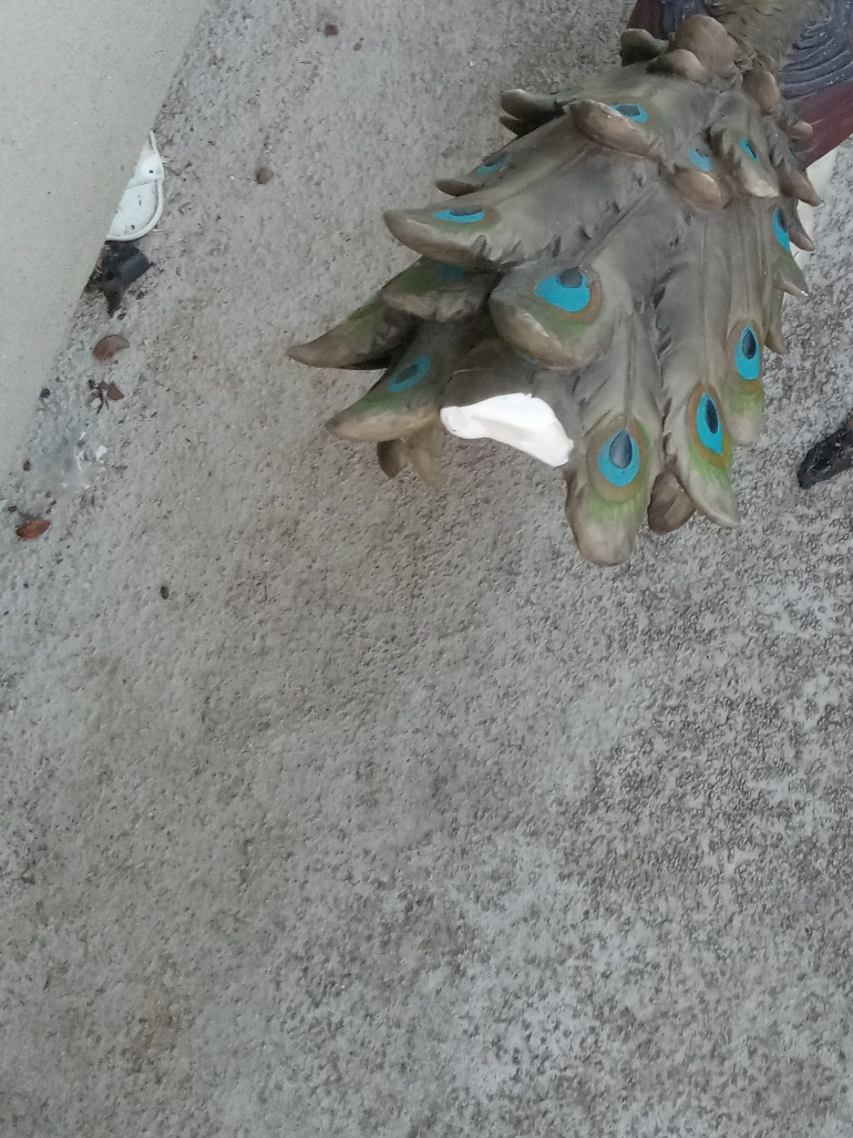 Peacock Feather Statue
