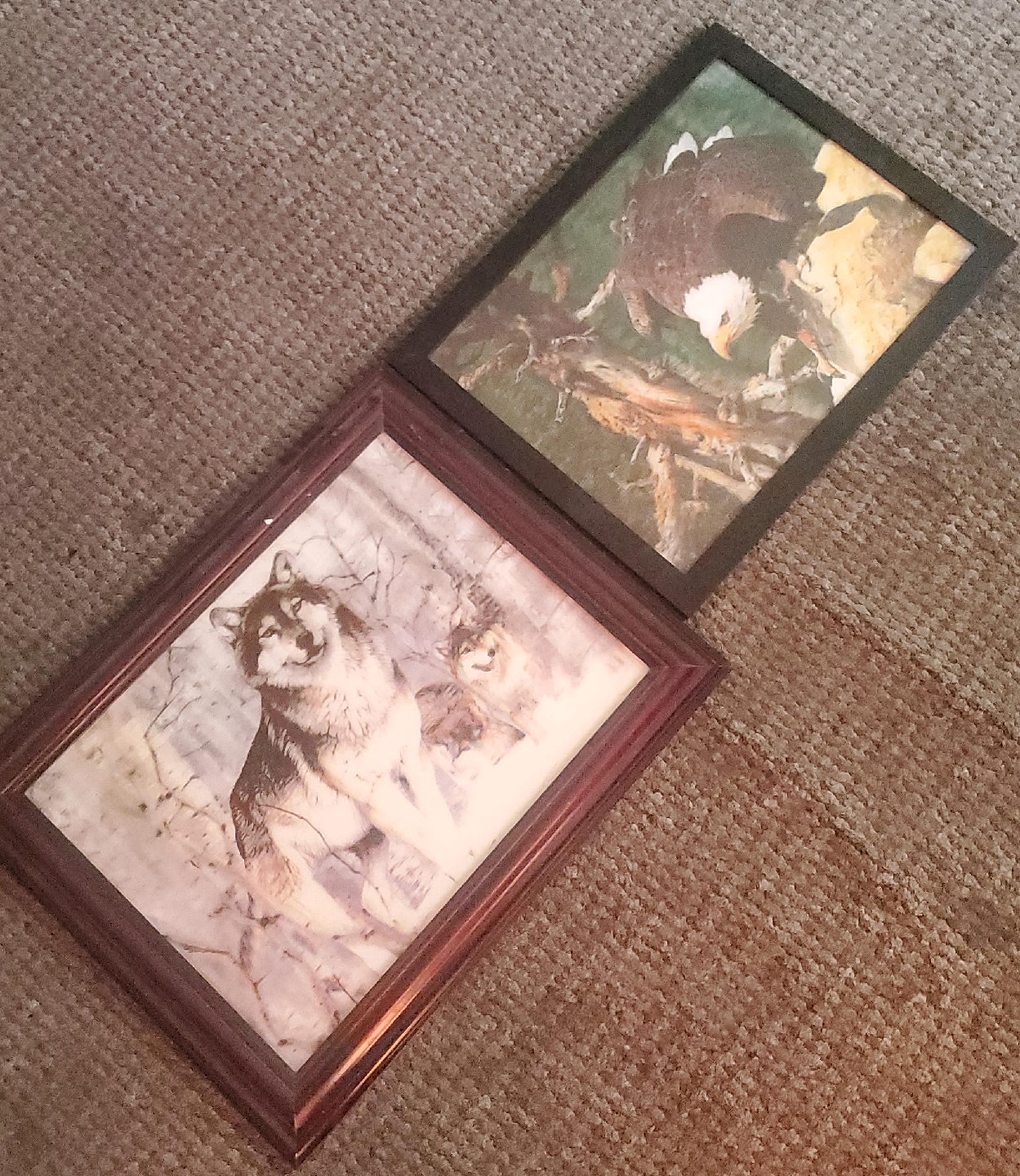 Framed Wolf & Eagle Prints thumbnail
